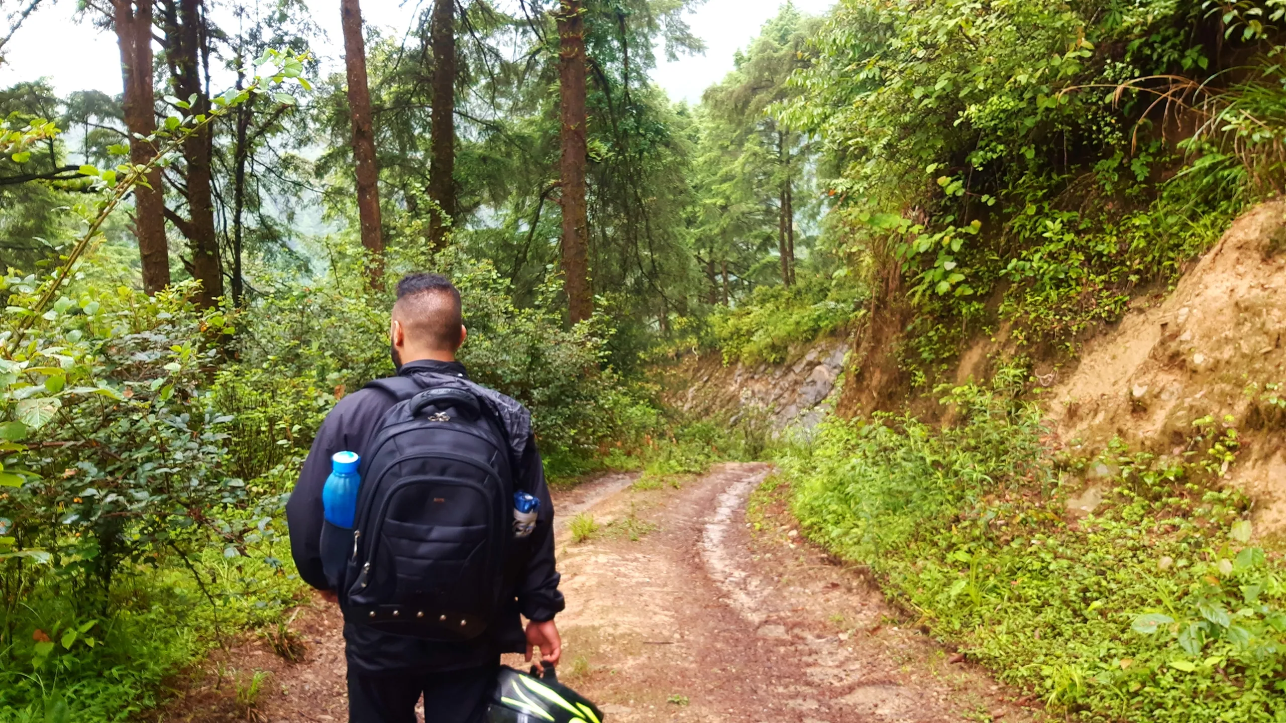 A hiker in a black rain jacket and dark pants walks away from the camera along a winding reddish-brown dirt trail through a tall pine and fir forest in Bethanchowk, Nepal. He carries a large black trekking backpack with two blue water bottles tucked into side pockets and holds a black-and-neon-green motorcycle helmet in his right hand. Misty green hills and a foggy valley are visible through gaps in the trees under an overcast monsoon sky. Perfect for Nepal Himalayan trekking blog, Bethanchowk forest hike, monsoon trail adventure, Kathmandu Valley pine forest trekking photography.
