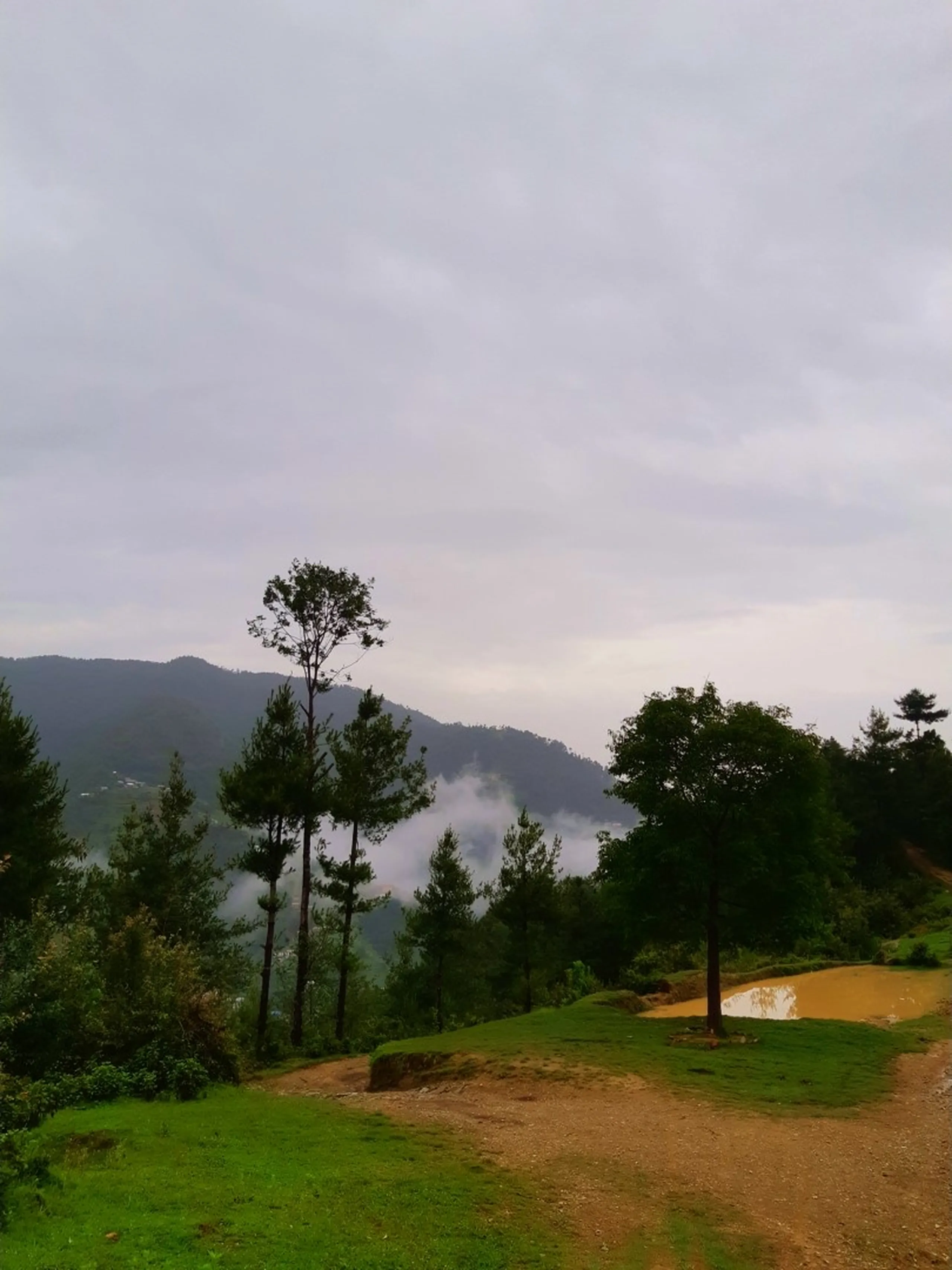 A tranquil overcast landscape view in Bethanchowk, Nepal, showing a grassy hilltop clearing with a muddy orange-brown water pond reflecting the cloudy sky, bordered by green grass and a few tall slender pine trees. In the background, layered misty hills and mountains fade into thick white fog and clouds, with a hazy village visible on the distant slope. A wide dirt path curves through the green foreground. Perfect for Nepal Himalayan landscape blog, Bethanchowk viewpoint photography, monsoon mountain scenery, Kathmandu Valley trekking destination content.
