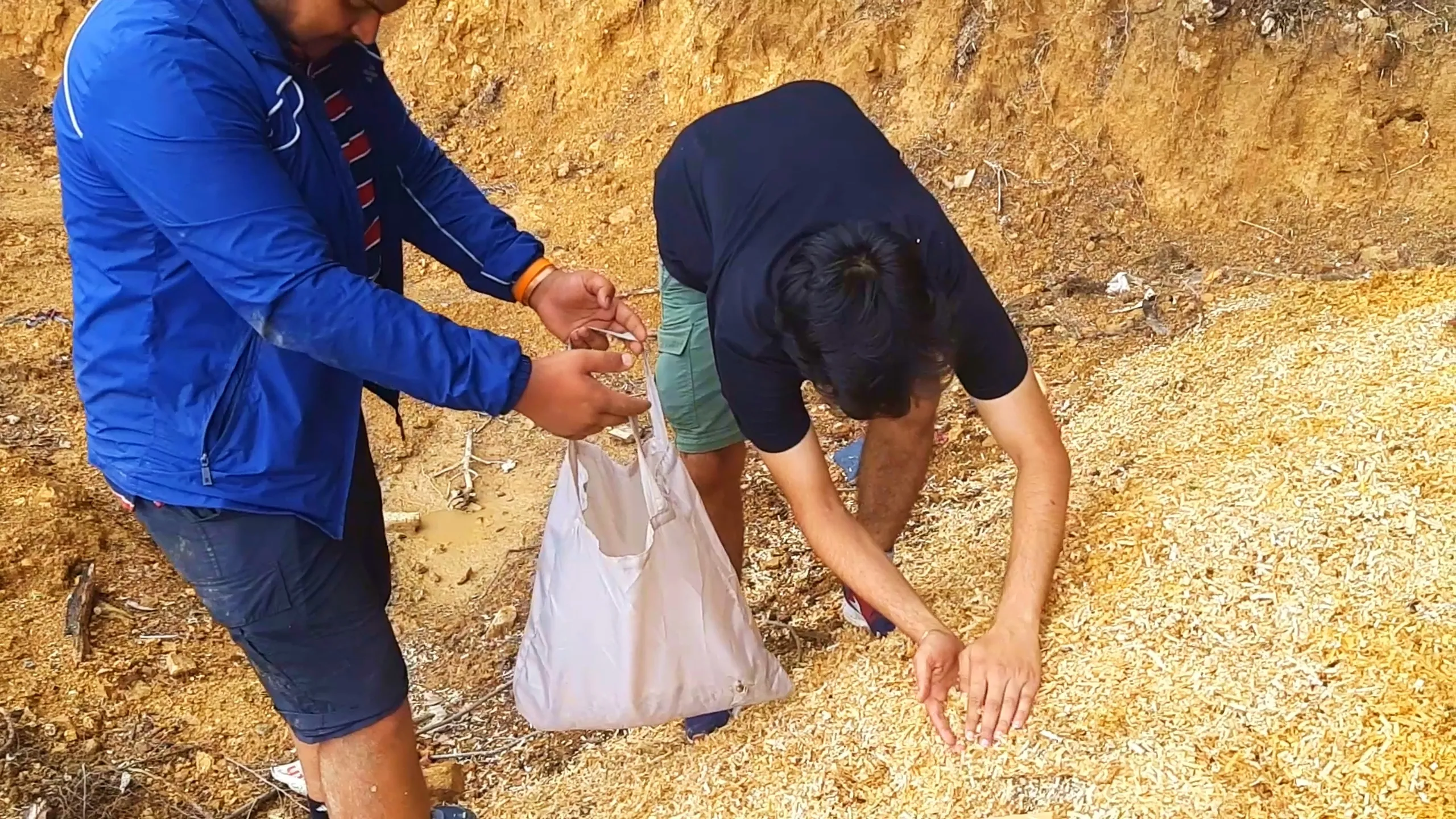 Photo of two men crouched together on a slope covered in golden wood shavings and sawdust, examining and collecting the material into a white plastic bag. The man on the left wears a blue jacket with red and white striped pants and an orange wristband, holding open the white bag with both hands, while the man on the right wears a dark navy t-shirt and olive green shorts, reaching down with both hands to scoop up handfuls of wood shavings. The steep reddish-brown eroded dirt embankment with scattered debris forms the background. This captures resourceful fire-starting material collection during Bethanchowk overnight camping trip, Nepal jungle survival camping tips, Himalayan trekking firestarter gathering, group camping teamwork Kathmandu hills.
