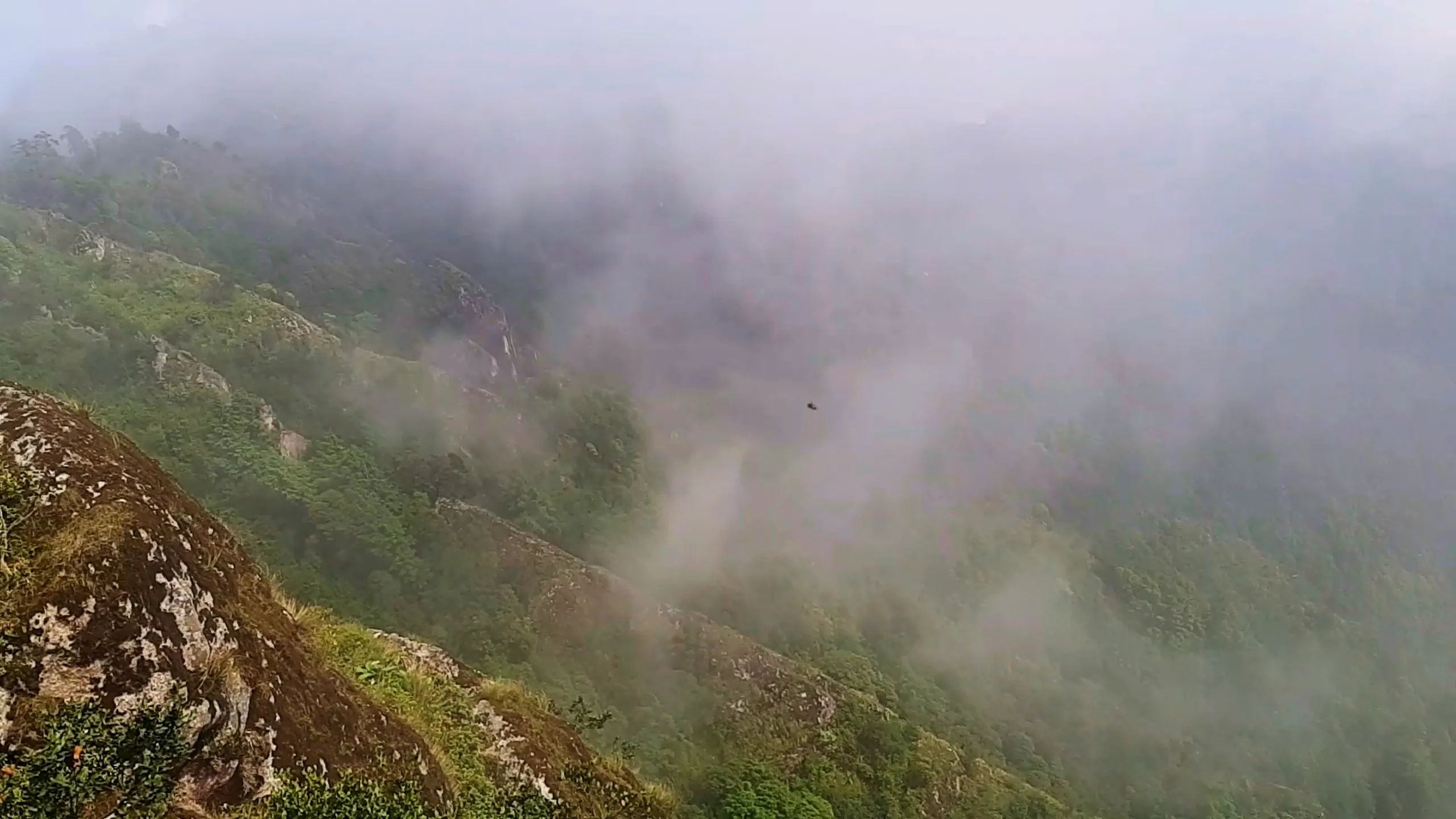 Sweeping aerial-style landscape photo of a steep forested mountainside completely enveloped in swirling thick white and grey fog, with rocky moss-covered cliff edges visible in the foreground and dense green vegetation cascading down the slope. A small bird is visible flying through the misty air in the middle of the frame. The fog creates a dreamy, mysterious atmosphere obscuring the deeper valley below. This showcases the dramatic foggy cliffside views at Bethanchowk highest point, Nepal misty mountain landscape, Himalayan cloud forest scenery, scenic trekking viewpoint Kathmandu hills.