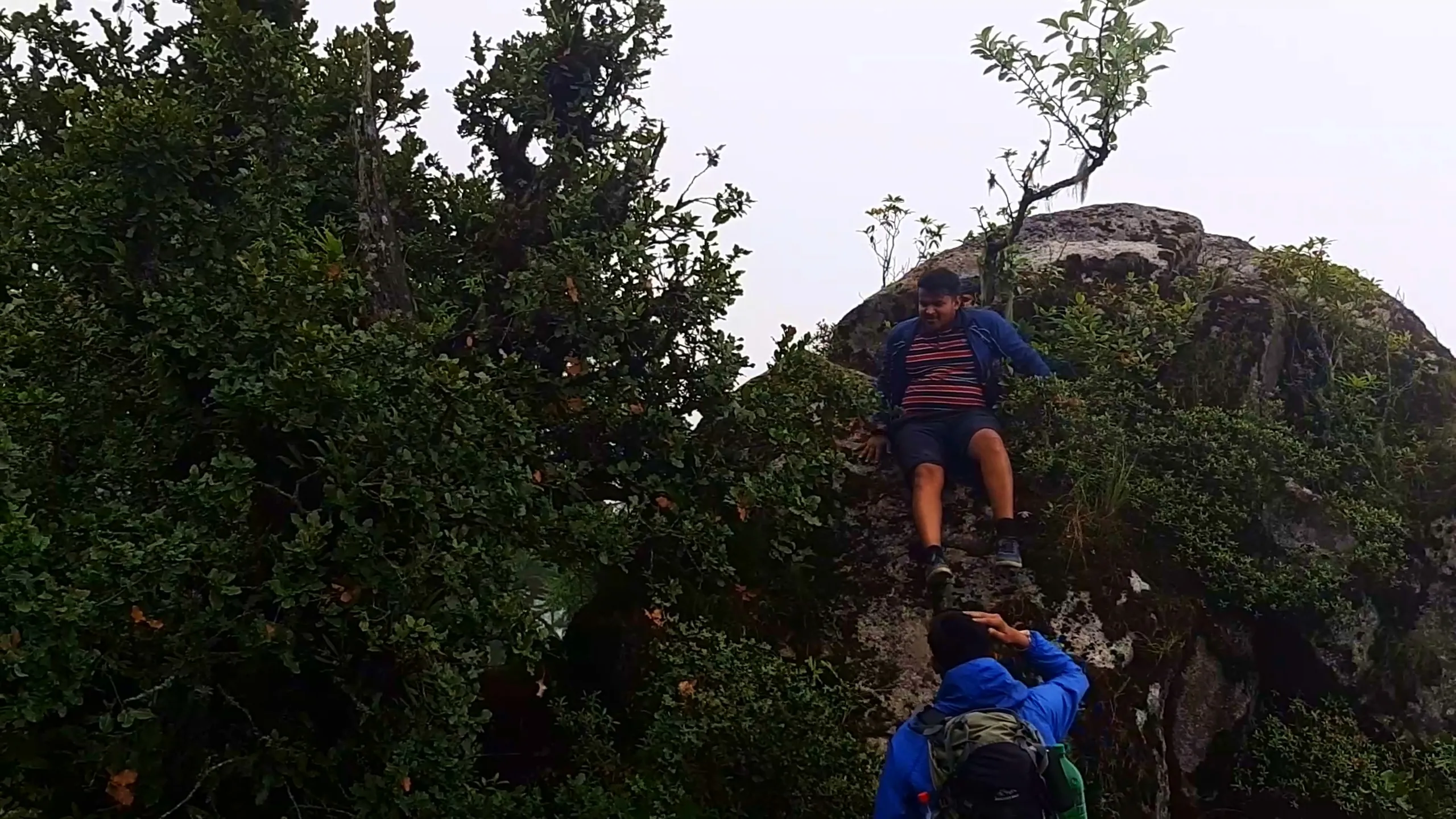 Action photo taken from below showing a heavier-set young man wearing a blue jacket with red and navy striped shirt and dark shorts climbing or sliding down a large rocky boulder surrounded by dense green shrubs and small trees, with his legs extended forward and one hand reaching out for balance. Below him, another hiker wearing a blue rain jacket and grey backpack with a green water bottle attached reaches up with both hands to help guide him down the rock face. Overcast white sky is visible in the background through the foliage. This captures friends helping each other navigate rocky terrain at Bethanchowk summit, Nepal mountain climbing adventure, Himalayan trekking teamwork, group hiking safety Kathmandu hills.