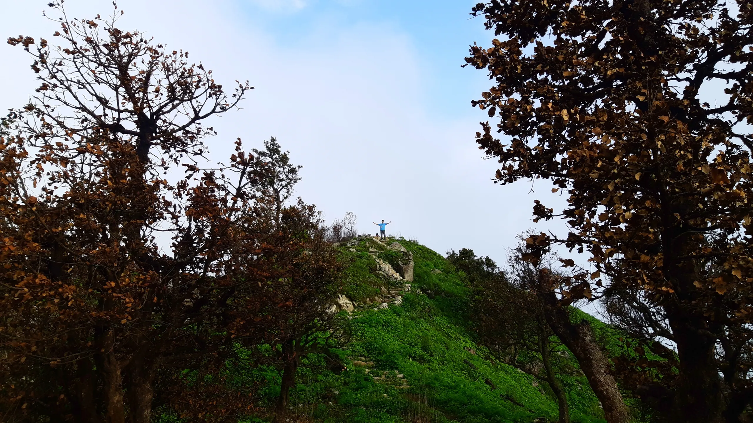 Wide landscape photo of a lone hiker standing with arms raised in celebration on top of a green grassy hill summit at Bethanchowk, framed by two large trees with dried brown autumn leaves on either side of the composition creating a natural arch. The hilltop is covered in lush green grass with scattered white rocks and a visible stone-stepped path leading up to the peak. Soft overcast sky with light blue patches is visible above. This captures the iconic framed summit view at Bethanchowk highest point, Nepal Himalayan hilltop trekking, scenic mountain peak photography, adventure travel destination Kathmandu hills.