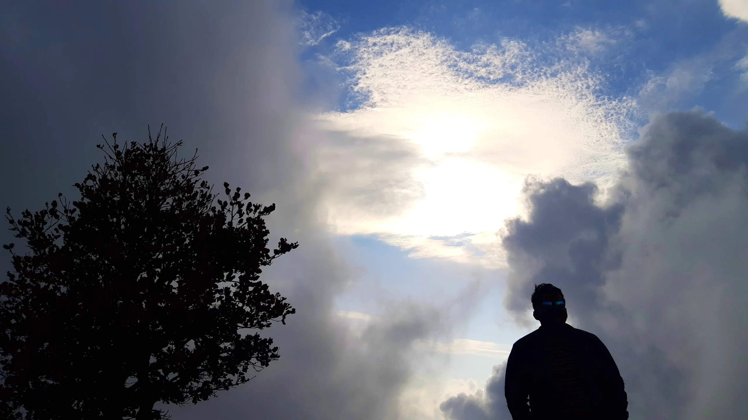 Dramatic silhouette photo capturing a man standing in profile wearing mirrored sunglasses and a striped jacket, his figure entirely in shadow against a stunning sky filled with billowing white and grey storm clouds parting to reveal patches of blue sky and bright sunlight breaking through. A silhouetted tree with dense foliage stands on the left side of the frame, also in shadow. This artistic composition showcases the dramatic cloud formations and lighting at Bethanchowk highest point, Nepal Himalayan sky photography, mountain summit silhouette portrait, scenic sunset cloud views Kathmandu hills.