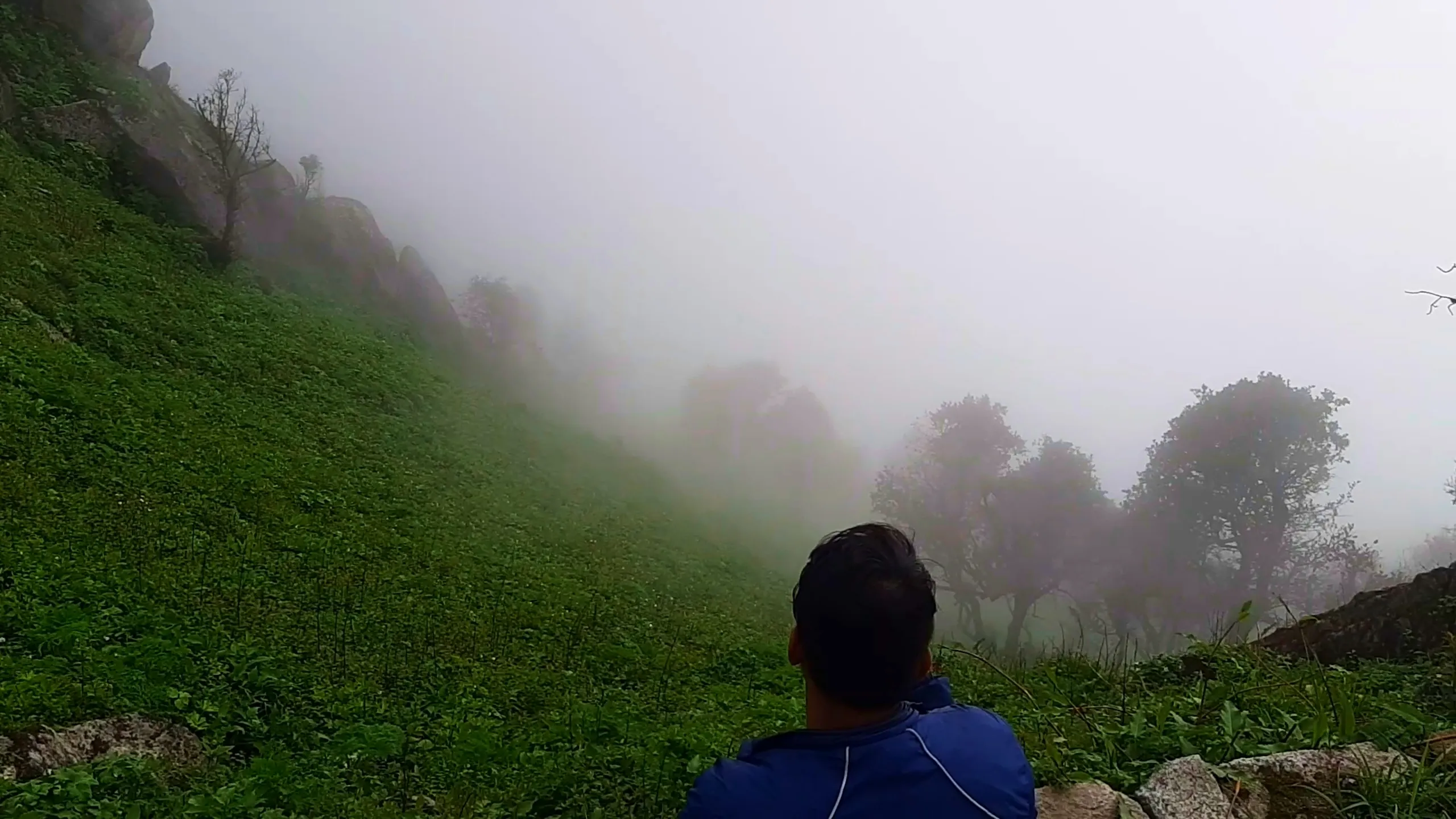 Atmospheric photo taken from behind showing a young man wearing a blue jacket with white piping sitting and gazing out at a steep green grassy hillside slope that disappears into thick rolling white fog. Silhouetted trees and shrubs emerge from the mist on the right side of the frame, while rocky outcrops are visible on the upper left. The lush green hillside is covered in dense ground vegetation and wildflowers. This captures a contemplative moment overlooking the misty valley at Bethanchowk highest point, Nepal Himalayan foggy mountain views, scenic trekking viewpoint photography, peaceful nature moment Kathmandu hills.