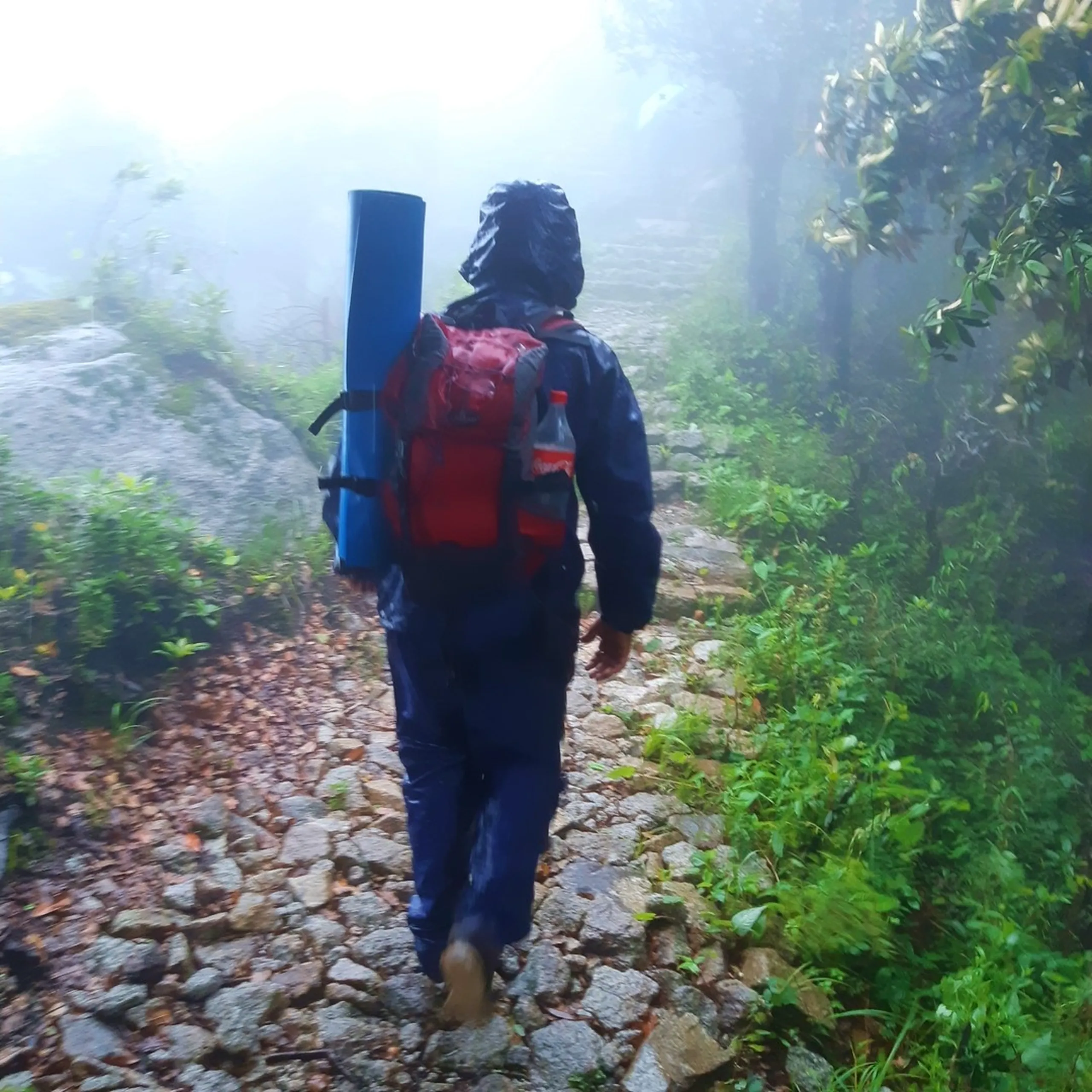 Photo taken from behind of a hiker wearing a navy blue rain poncho with hood up, carrying a red "Mountainer" backpack with a blue rolled sleeping mat and a water bottle attached, walking along an ancient stone-paved path lined with large rocks and dried autumn leaves, surrounded by green shrubs and trees shrouded in bright misty fog. This captures the historic stone pathway descent at Bethanchowk highest point, Nepal Himalayan ancient trail trekking, monsoon rain hiking gear, scenic stone path photography Kathmandu hills.