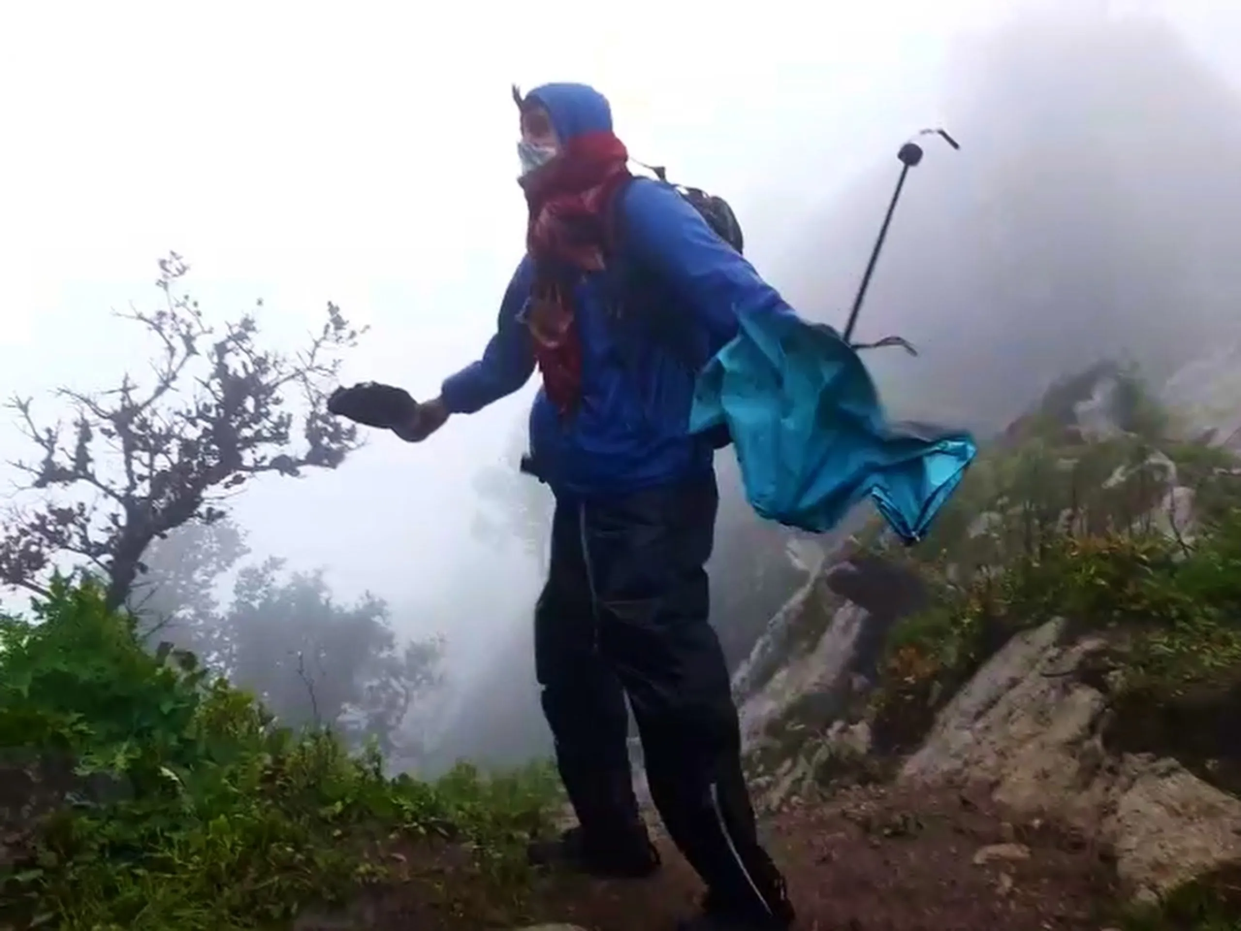 Dynamic action photo of a hiker wearing a blue rain jacket with red and maroon scarf, navy cargo pants, and a backpack with a teal blue rain cover flapping dramatically in the wind, caught mid-motion while throwing or gesturing with one hand on a misty mountain ridge trail. A walking stick or trekking pole and rocky terrain with green shrubs are visible in the background, with thick fog obscuring the valley below. This captures windy weather conditions during the Bethanchowk ridge descent, Nepal Himalayan windy mountain trekking, monsoon hiking gear in action, adventure travel dynamic photography Kathmandu hills.