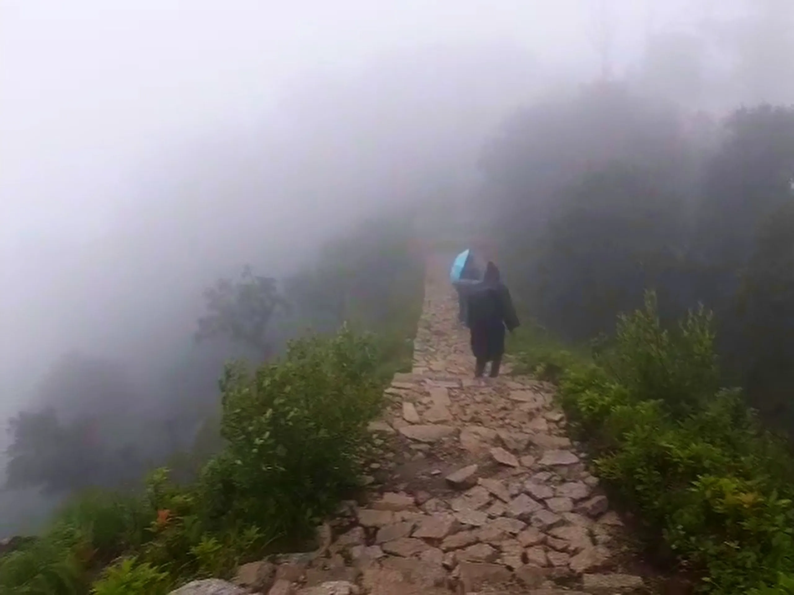 Atmospheric photo of a lone hiker wearing dark rain gear with a light blue umbrella, walking away from the camera along a narrow stone-paved ridge path that disappears into thick white fog on both sides, with green shrubs lining the ancient stone walkway. This captures the dramatic foggy stone pathway at Bethanchowk highest point, Nepal Himalayan ridge trail trekking, misty mountain path photography, scenic ancient trail Kathmandu hills.