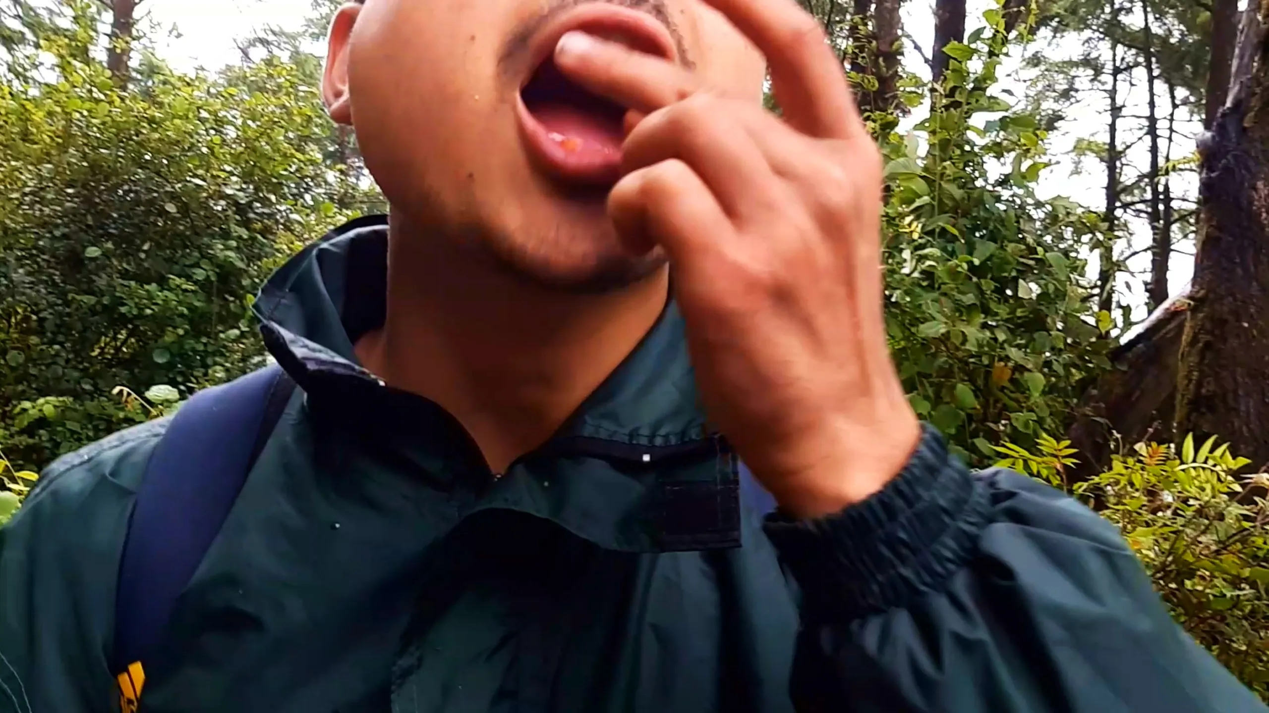 Extreme close-up photo of a young man's face with eyes closed, mouth open, popping a small orange wild raspberry berry into his mouth with his fingers, wearing a dark green rain jacket with navy backpack strap, surrounded by green forest foliage and tall pine trees in the background. This captures the fun moment of tasting wild Himalayan raspberries during Bethanchowk trekking trip, Nepal forest foraging experience, nature trekking adventure, wild berry tasting Kathmandu hills.