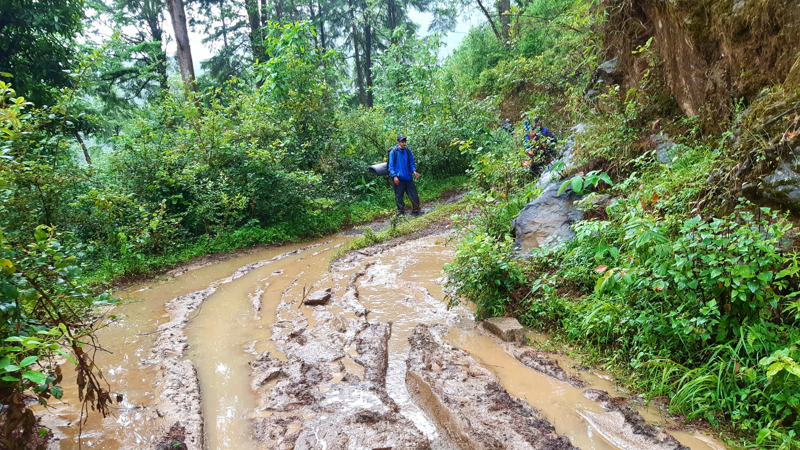 Wide landscape photo of a muddy stream-like trail flowing with brownish water through a dense green forest, with a hiker wearing a blue rain jacket and navy cap carrying a rolled black item standing on the grassy trail edge near a large grey boulder. In the background, other hikers wearing colorful rain gear are visible navigating the rocky hillside path. Tall trees and lush green vegetation surround the water-logged trail on both sides. This captures the flooded monsoon trail conditions during Bethanchowk descent, Nepal monsoon trekking challenges, Himalayan rainy season hiking, muddy forest trail adventure Kathmandu hills.