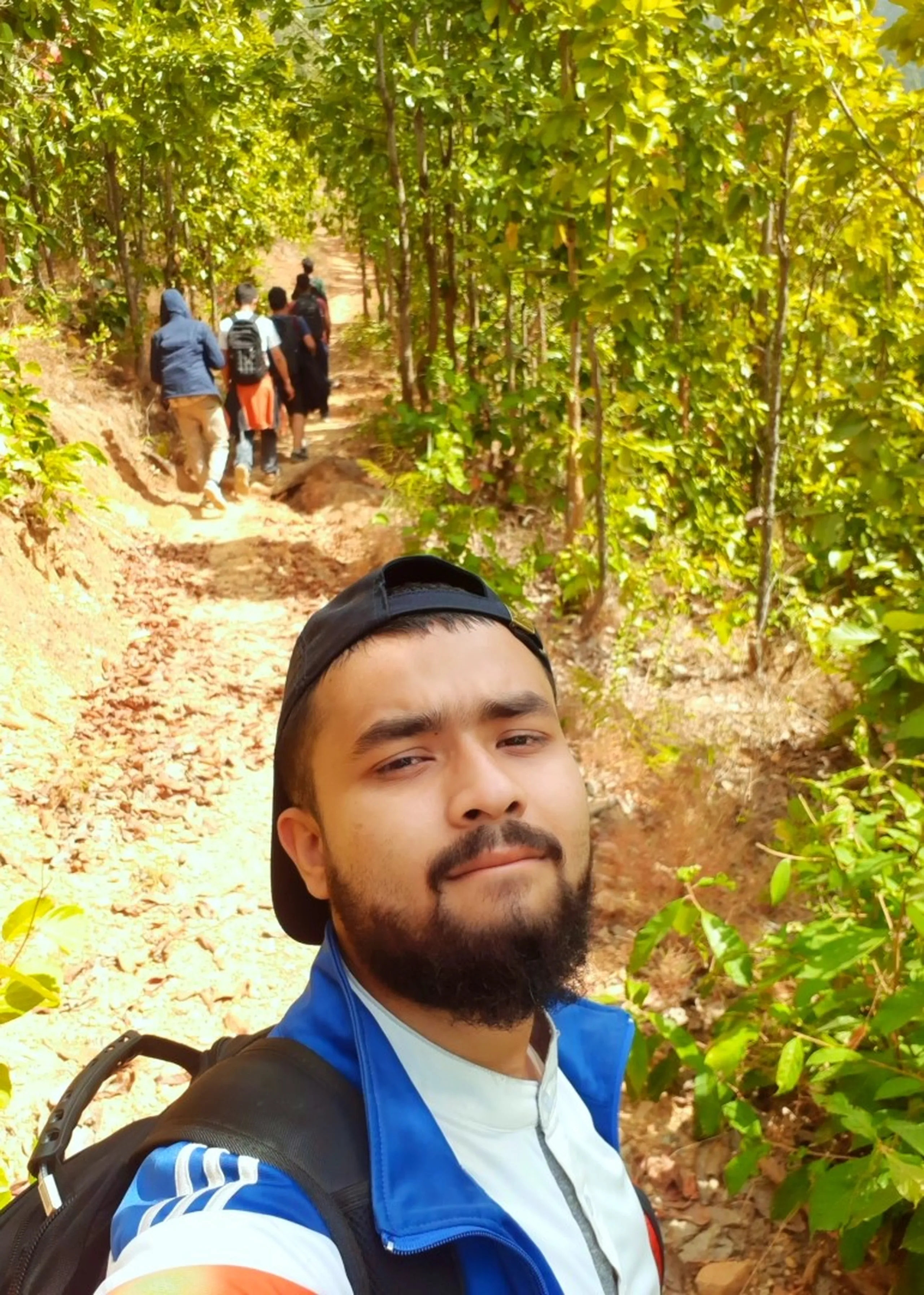 A warm, sunlit forest trail selfie. The bearded man in the backwards cap - now wearing a blue vest over a white t-shirt - takes the selfie in close foreground, his expression relaxed and happy, a slight smile on his face. Behind him, a dirt path winds into a beautiful, sunlit forest corridor: tall, slender trees line both sides of the trail, their leaves glowing bright green in filtered afternoon sunlight. The light falls in golden dapples on the path and the green foliage. Ahead on the trail, a group of four or five people walk away from the camera, their figures small and silhouetted in the bright light at the end of the tree tunnel. The image radiates warmth, ease, and the simple happiness of walking through a beautiful forest with friends.