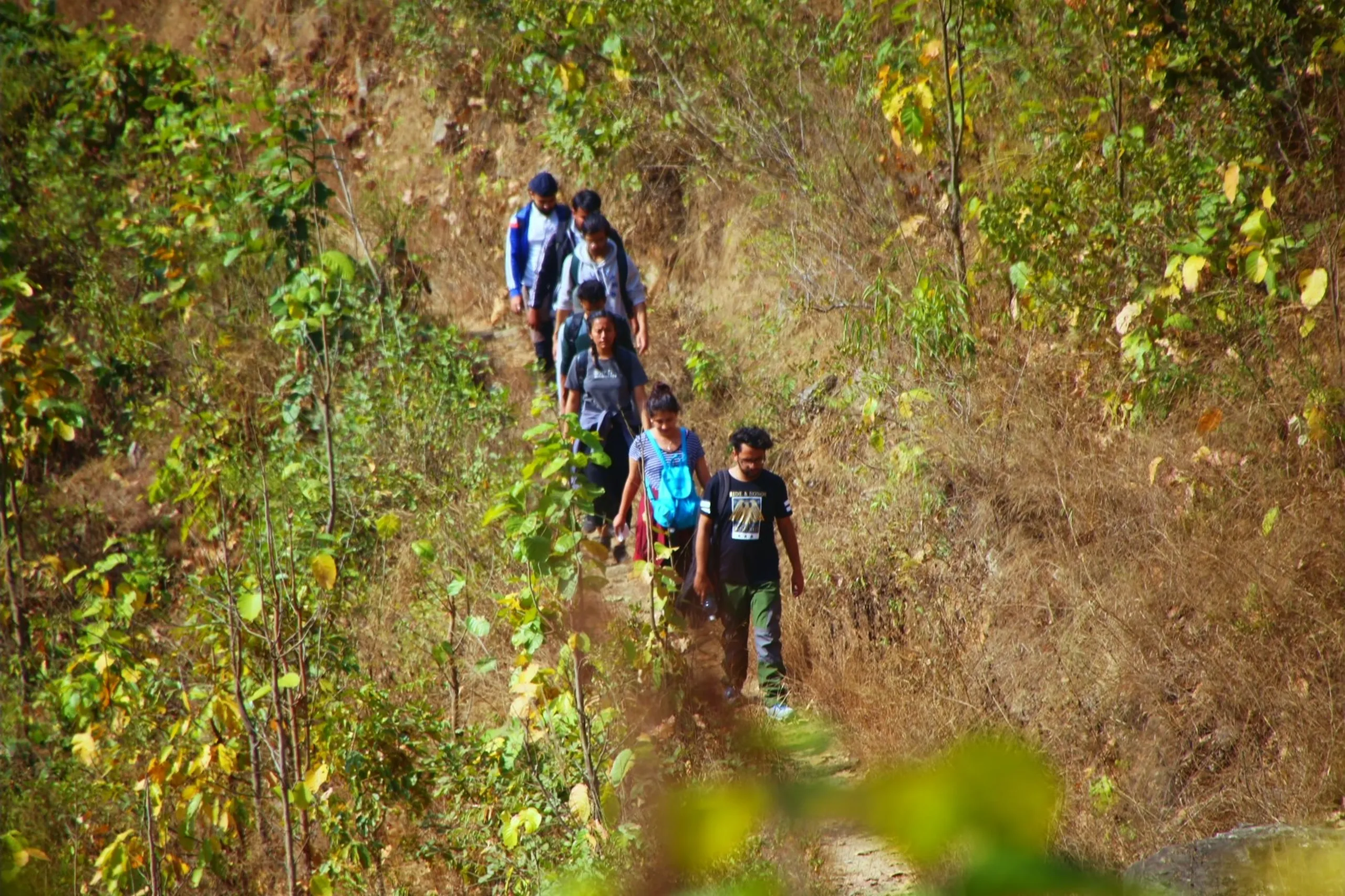 A line of eight or nine trekkers walks single file along a narrow, well-worn trail on a grassy, scrubby hillside, viewed from slightly above and to the side. The group stretches in a long, snaking line from the foreground to the mid-distance of the frame. Their clothing is casual and varied - blues, blacks, a backpack here and there. The trail is a thin dirt line cutting through dry golden-brown grass and low scrub. On both sides of the path, dense green vegetation - including shrubs and small trees with some patches of bright yellow-green autumn leaves - borders the trail closely. The light is bright and warm. The image captures the communal rhythm of group trekking - bodies moving in unison, a line of people sharing the same path through the same wild, beautiful hillside.