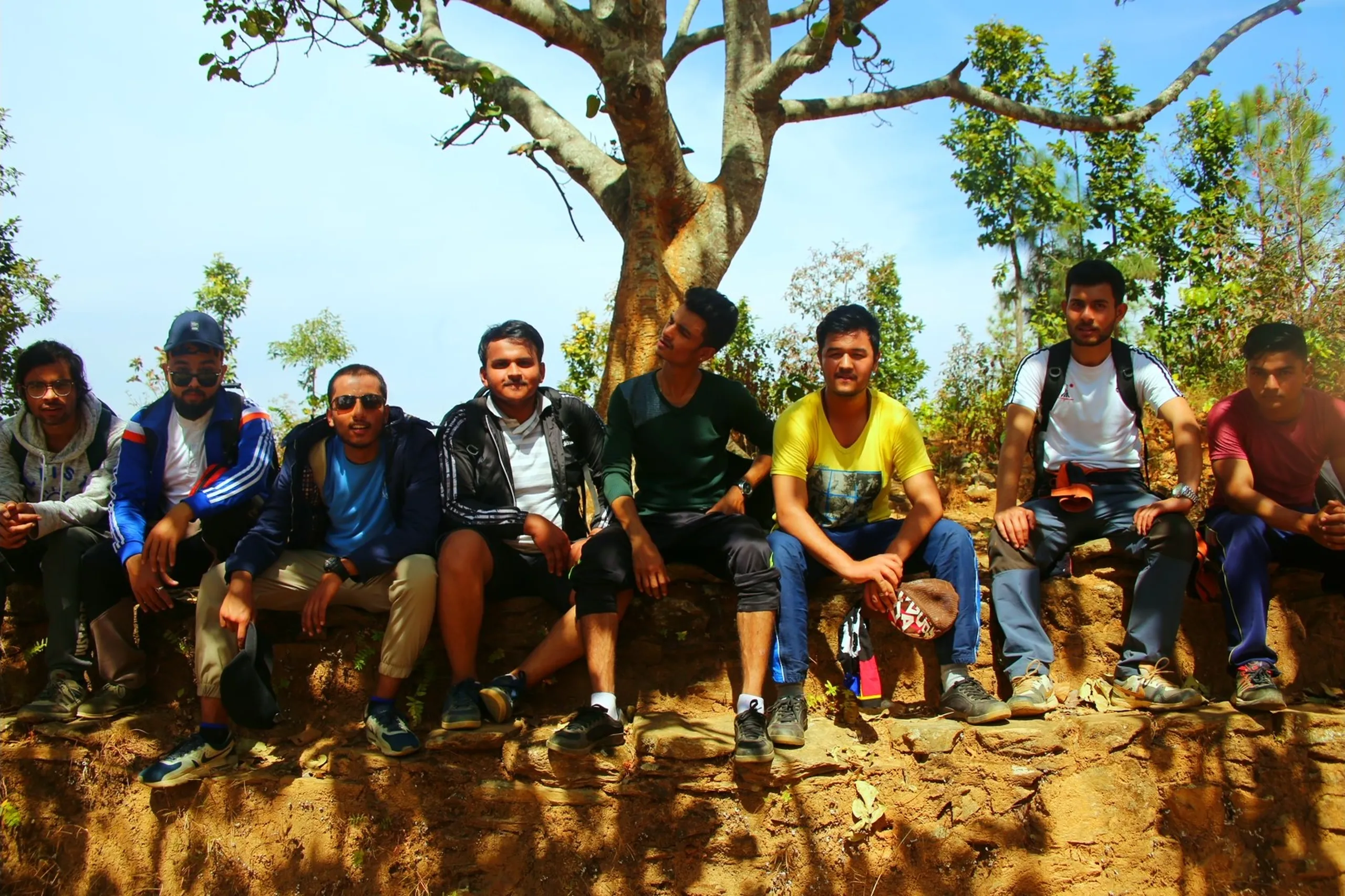 A classic group photograph of eight young men sitting in a relaxed line along a low earthen ridge or stone ledge on a dry, sunny hillside. They sit shoulder to shoulder, all facing the camera, their expressions ranging from broad smiles to calm, relaxed looks. Their clothing is varied - hoodies, jackets, the recognizable yellow t-shirt, a blue top. A large, old tree with a wide, gnarled trunk and sparse leafy canopy stands directly behind them, providing natural framing. The terrain around them is dry and reddish-brown. Blue sky fills the upper corners of the frame. The composition is simple and warm - the classic "everyone together, look at the camera" moment that every group trip produces.