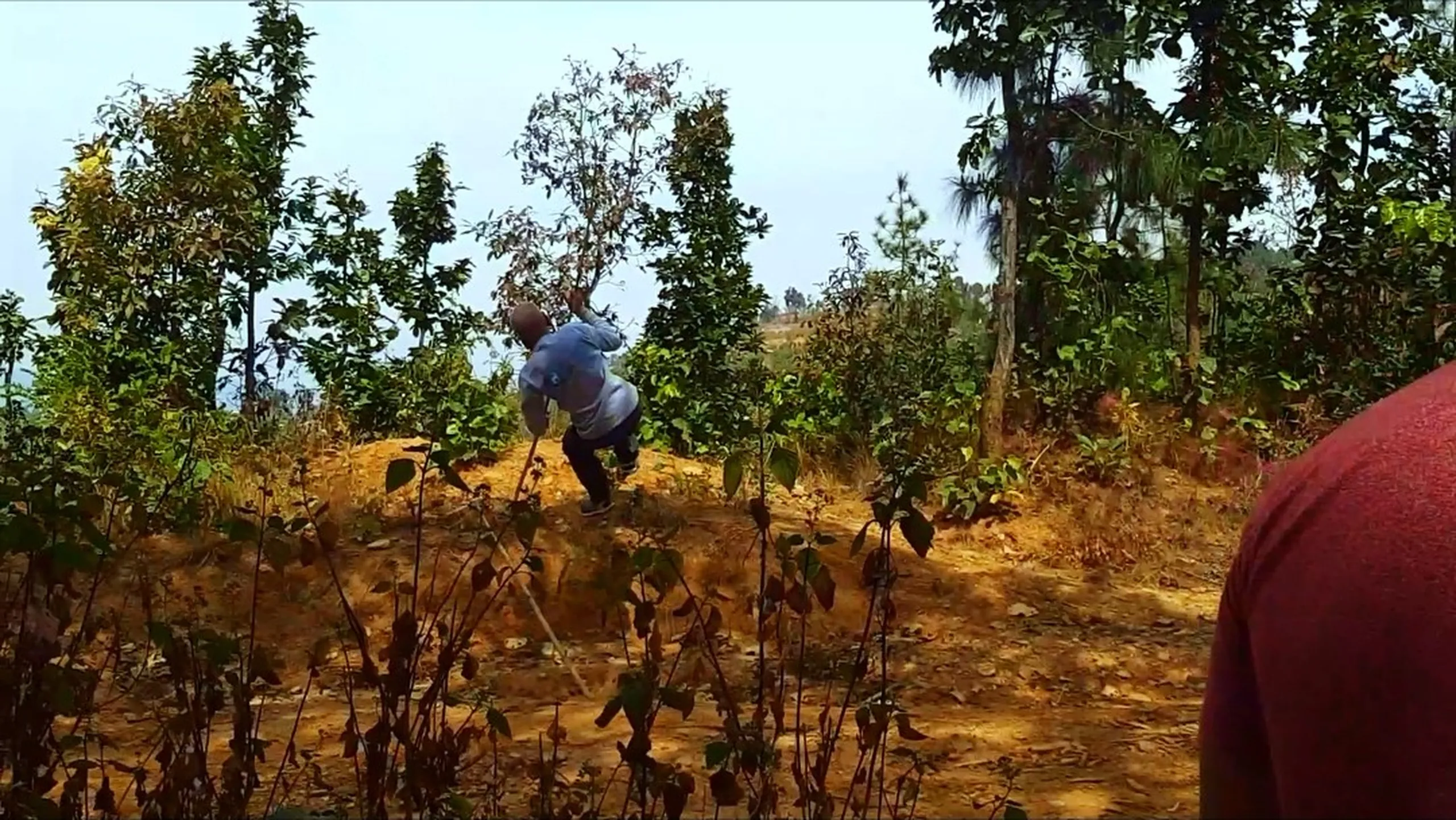 A dynamic action shot of a single figure navigating a steep, dry red-earth hillside. The person - wearing a blue top - is caught mid-movement on the slope, either jumping, sliding, or making a careful descent down a very dry, crumbly incline covered in sparse brown shrubs and dry vegetation. Their body is forward-leaning, arms possibly out for balance. The red-orange earth of the hillside is the dominant texture and color. In the very bottom-right foreground, the edge of a maroon or dark red garment suggests the photographer standing just out of frame. The shot captures a moment of real physical effort and the loose, unpredictable footing of a dry mountain descent.