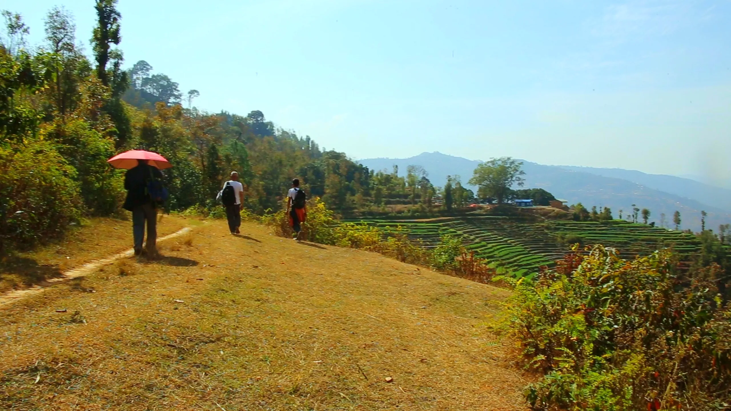 Three figures walk along a wide, flat dirt trail cutting across a sunny hillside. The leftmost figure carries an open red umbrella against the bright sun - a practical and colorful detail. All three walk in roughly the same direction, spaced a little apart. The trail is dry, pale brown earth. To the right of the path, a hillside descends in beautifully neat terraced agricultural steps - bright, cultivated green fields stepping down the slope in graceful curves. In the far background, layers of hazy mountain ridges fade into a pale blue sky. The image is bright and airy - a walking shot that captures the trekking group moving through a cultivated, inhabited landscape.