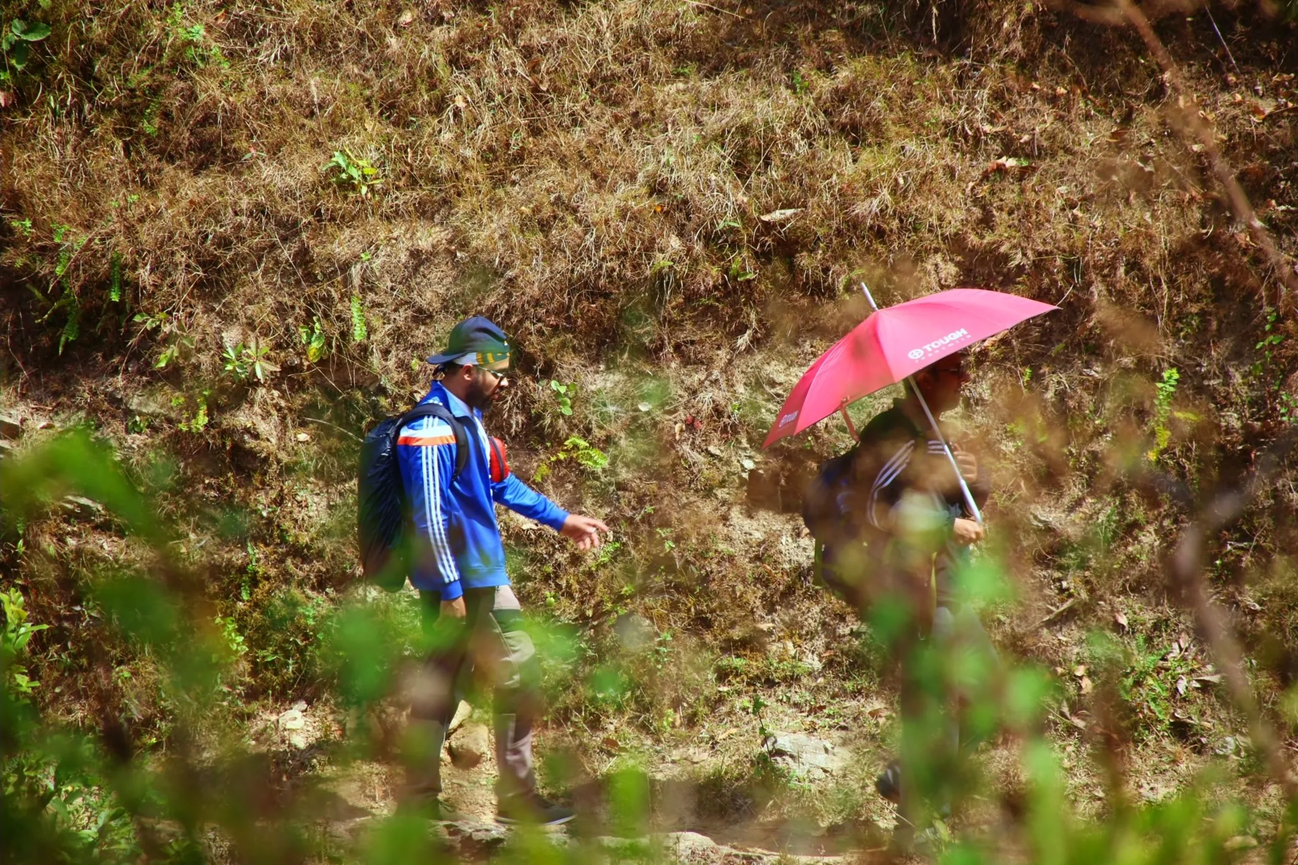 A long-distance candid shot of two small human figures on a vast, dry brown hillside, viewed through a natural frame of green leaves and branches in the foreground. The foreground vegetation is slightly out of focus, creating a soft natural vignette around the scene. The two figures are small and distant - one wearing a blue backpack, the other identifiable by the open red umbrella they carry. They stand or move on the bare, golden-brown slope, dwarfed by the scale of the hill around them. The image has the quality of observing people from a hidden vantage point - two small human shapes in a very large, dry, open landscape.