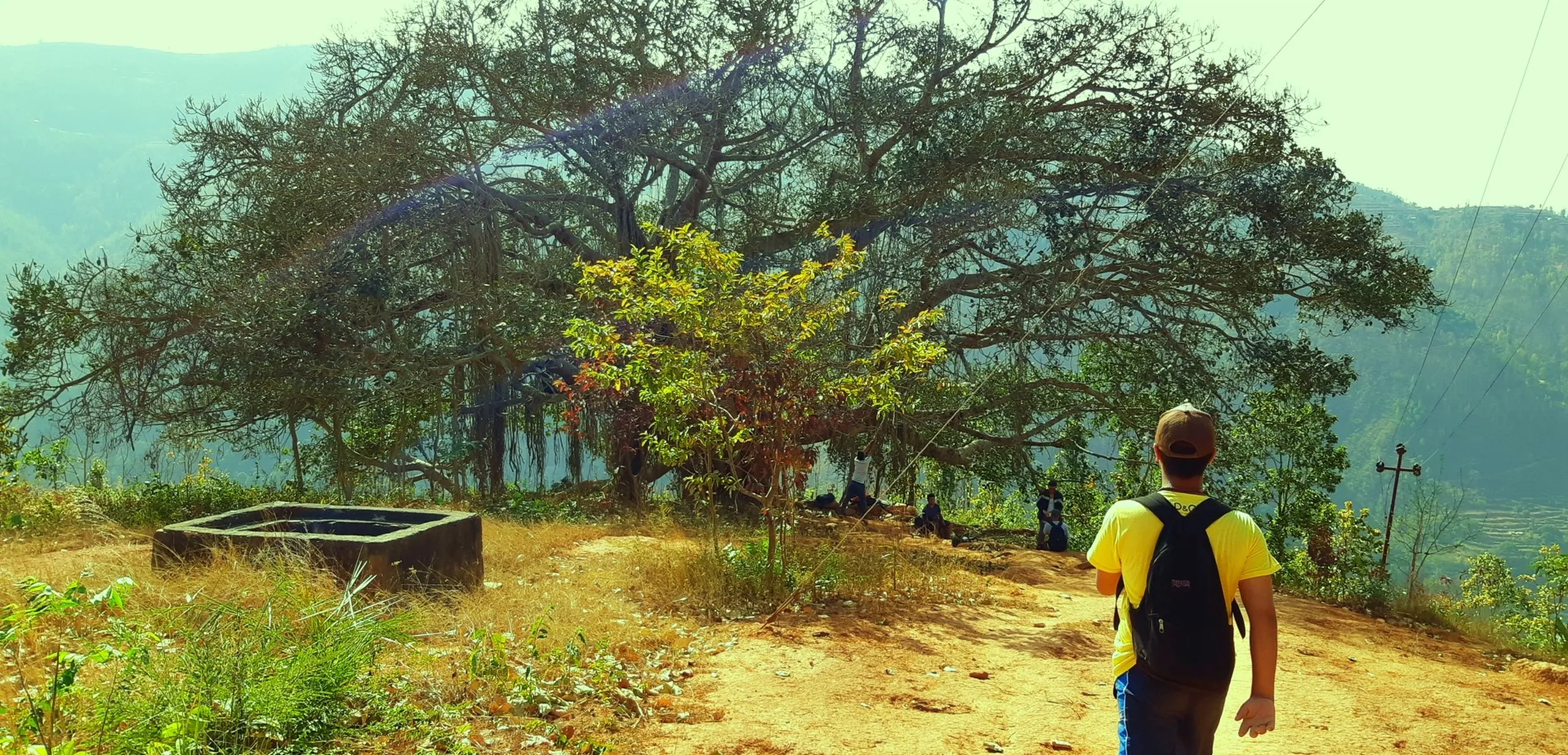 A solitary figure with a yellow backpack stands with their back to the camera, looking out over a vast, misty valley landscape. Ahead of them is a large, sprawling tree with wide-reaching branches, and beside it is a small stone or concrete structure (possibly a shrine or water tank). The scene feels peaceful and contemplative, with green hills fading into blue haze in the distance.
