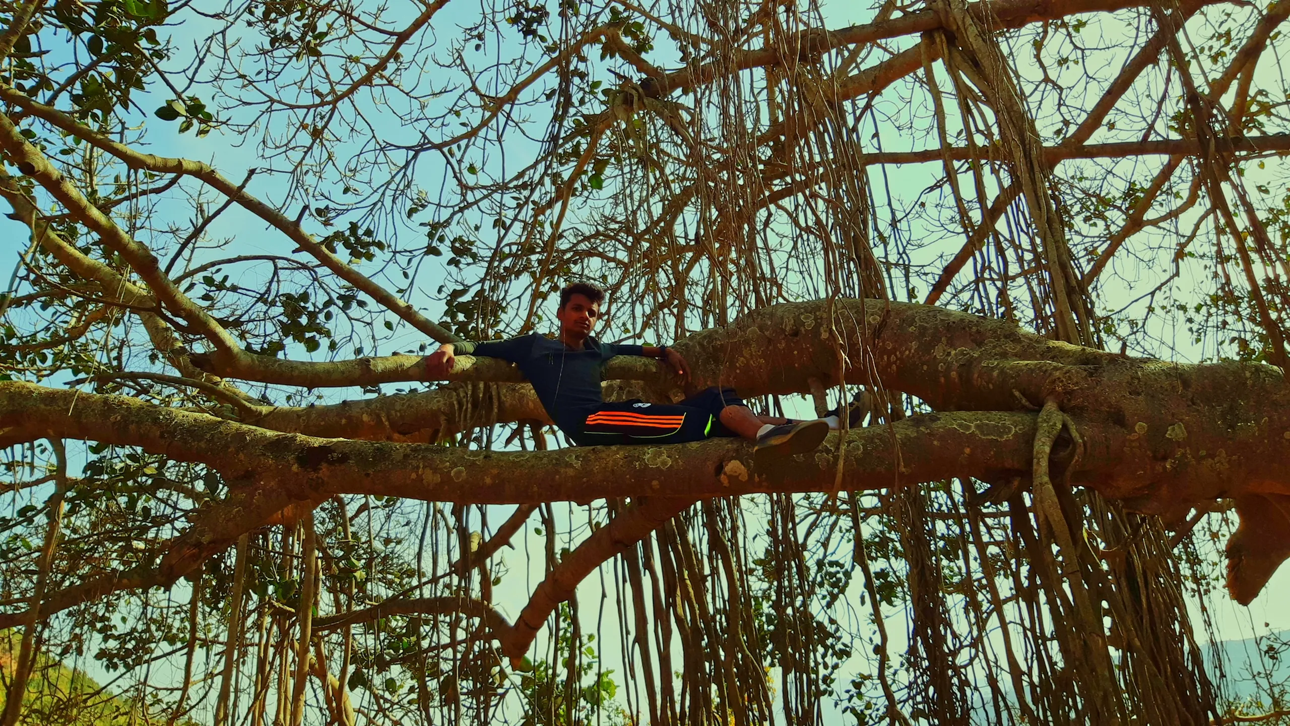 A young man has climbed high into the twisting branches of a massive banyan or strangler fig tree and is lying stretched out along a thick horizontal branch with arms spread wide, grinning at the camera. The tree's aerial roots hang down like curtains all around him. The background is a pale blue sky visible through the tangled canopy. The pose is playful and triumphant.