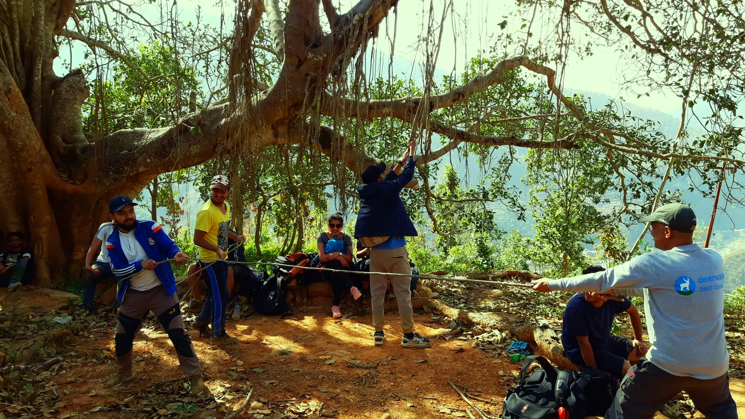 A lively group of around six or seven people gathered beneath and within the large banyan tree on a rocky, sunlit hilltop. Some are hanging from branches, others are posing or laughing. One person appears to be swinging or jumping. Backpacks and equipment are scattered on the ground. The atmosphere is joyful and adventurous, with a mountain valley visible in the background.