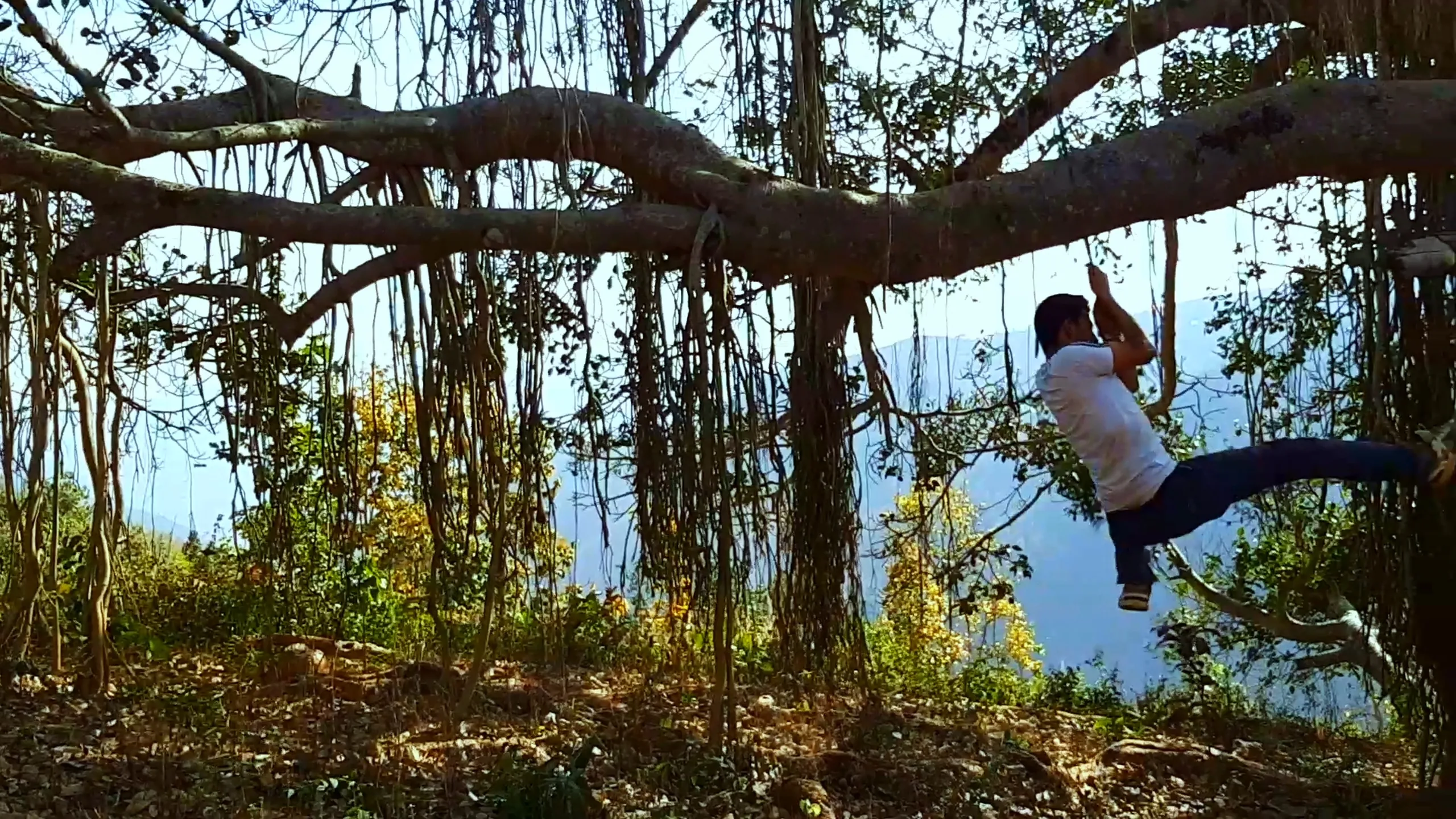 A figure in a white shirt swings on a rope from a large overhanging tree branch above a shimmering body of water - possibly a lake or wide river - visible in the background through the trees. The aerial roots of the banyan hang in vertical curtains. Bright sunlight filters through the canopy, and the water reflects the light. The image feels serene and adventurous at once.