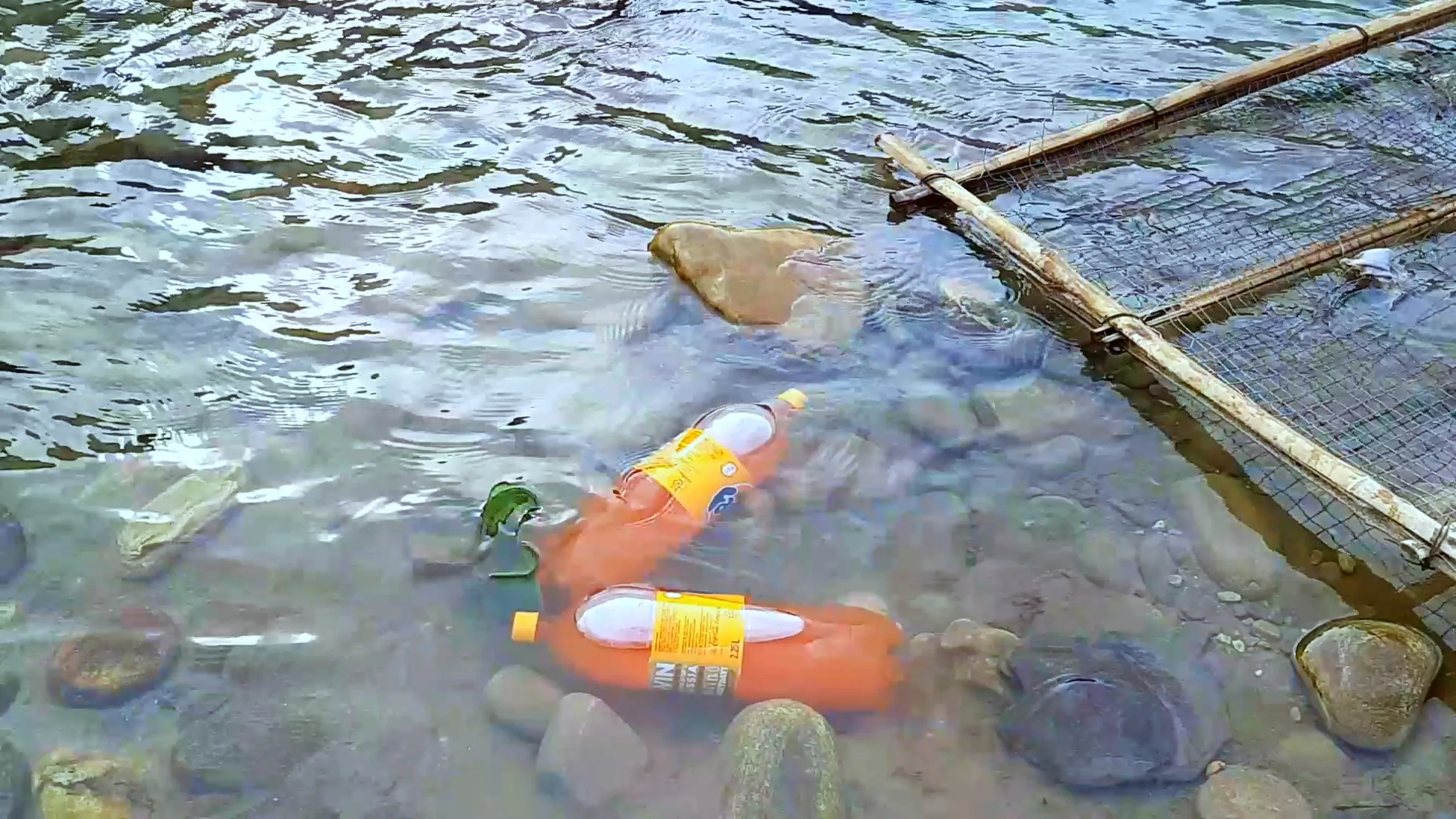 A ground-level shot looking into the shallow, rocky edge of a clear river. Two bright orange plastic bottles - likely soft drink or juice bottles - are floating and submerged slightly in the transparent water, wedged near a makeshift bamboo or wooden rack/structure at the river's edge. Small rounded river stones are clearly visible through the water. The image has a casual, behind-the-scenes feel, as if the bottles are being cooled in the river.