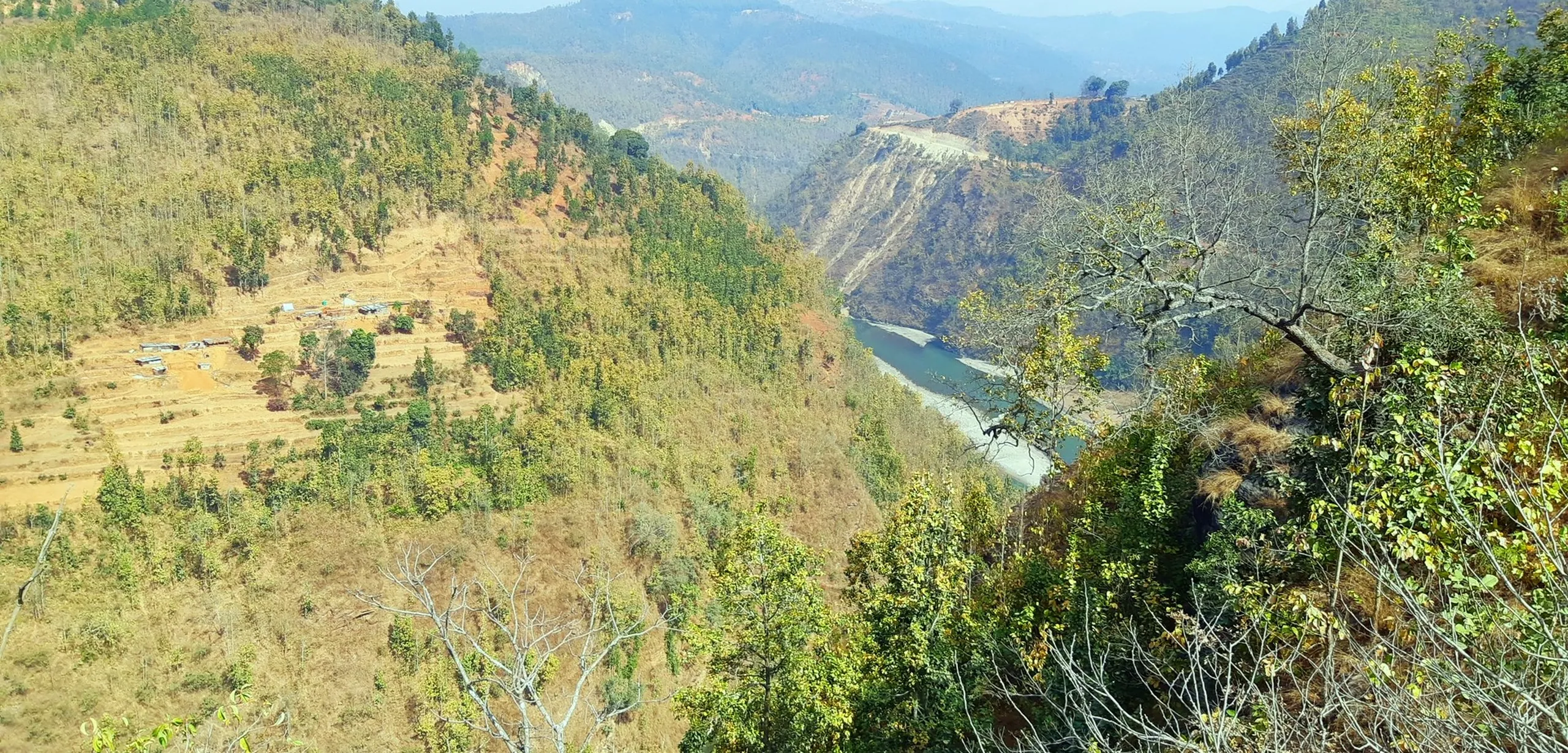 A wide, elevated landscape view of a deep forested river valley, shot from high up on a hillside. The foreground is partially framed by the bare branches and dry scrub of the hillside the photographer stands on. Below, the valley is densely covered in green forest that sweeps down both sides of the gorge. At the very bottom of the valley, a river is visible as a narrow, pale, glinting strip of white and light blue, threading through the green. On the left hillside, patches of lighter-colored terraced agricultural fields are carved into the slope. The scene is hazy with warm midday light, giving the distant mountains a soft, layered, blue-grey quality. It is a scene of deep, quiet natural beauty seen from a hard-won high point.