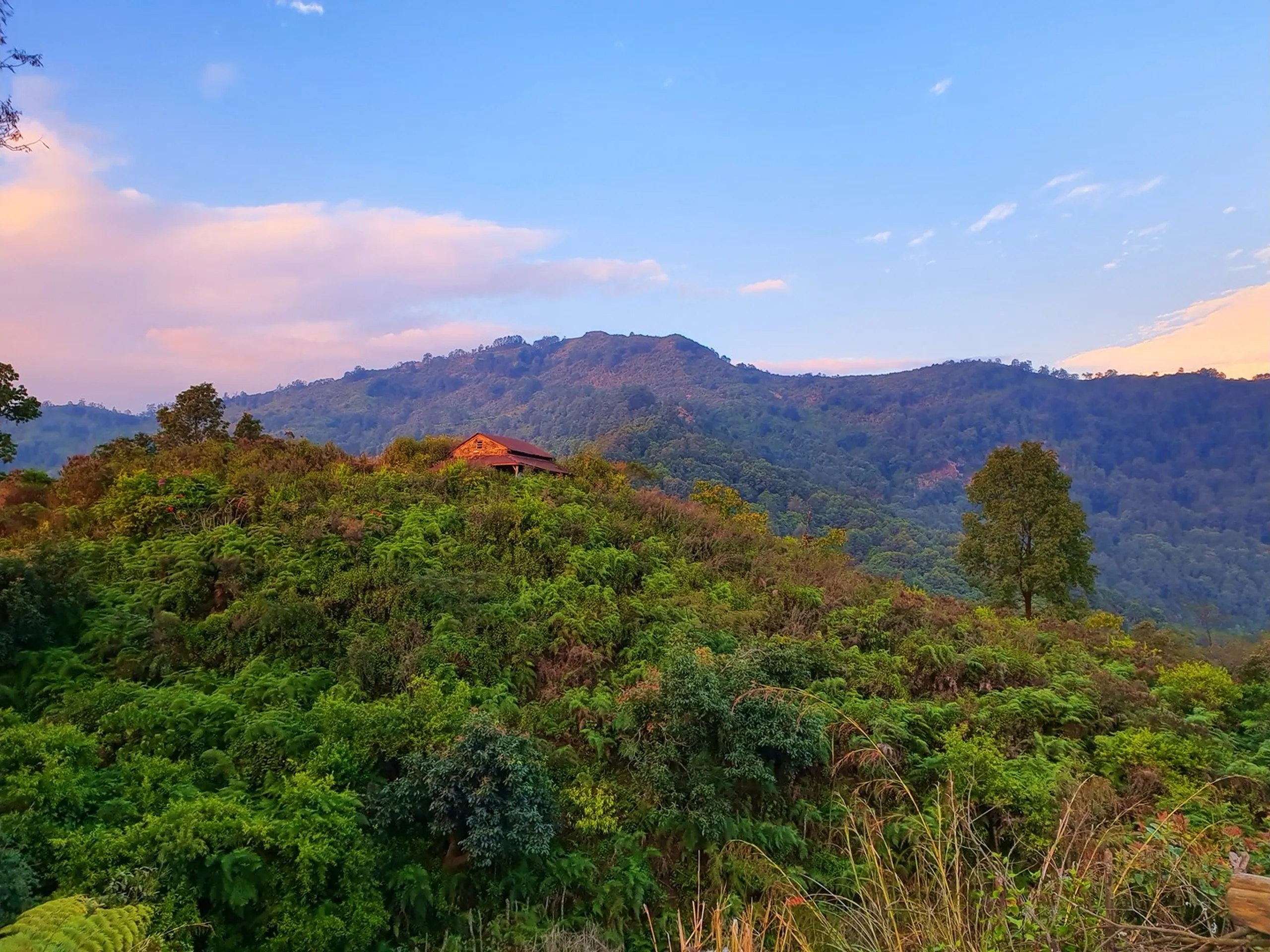 A serene and lush landscape photograph capturing a dense canopy of green subtropical and temperate forest covering rolling hillside ridges at dusk near Ghale Gaun, Lamjung District, Nepal, inside the Annapurna Conservation Area. Nestled within the sea of green treetops on a prominent hillock sits a small traditional stone and timber Nepali farmhouse with a rusty corrugated metal roof, glowing warmly in the last rays of the setting sun. The sky transitions from soft blue at the top to delicate peach and rose-tinted clouds on the horizon - a stunning natural alpenglow over the Himalayan foothills. A single tall bare tree stands prominently to the right, and reddish flowering trees dot the foreground. The scene feels deeply tranquil and remote. Keywords: Ghale Gaun Nepal forest landscape, Annapurna Conservation Area sunset, Lamjung District Nepal nature photography, Nepali mountain farmhouse forest, Himalayan foothills dusk landscape, green hills Nepal sunset, Nepal nature travel photography, remote village Nepal hillside, Gurung village Lamjung scenery, Nepal golden hour landscape 2019.