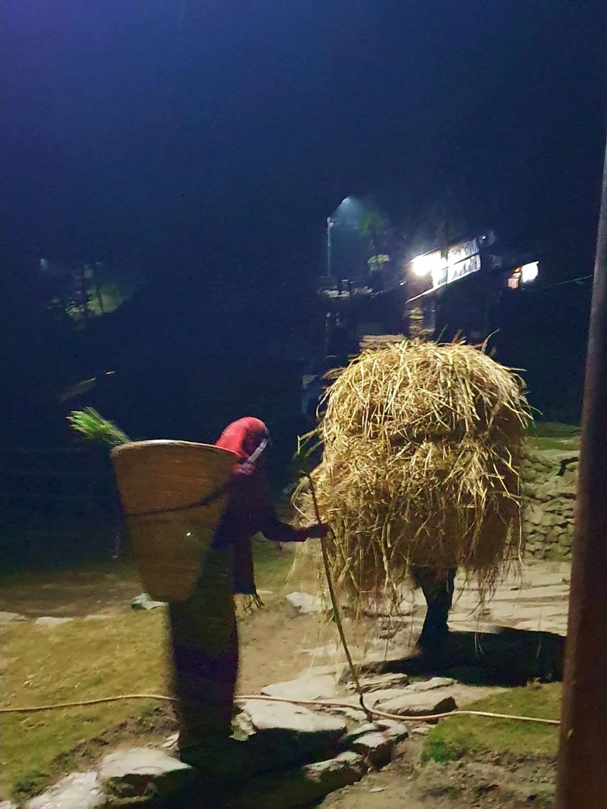 A powerful and evocative nighttime documentary photograph taken in a mountain village near Ghale Gaun, Lamjung District, Nepal, showing a local Nepali woman - her face wrapped in a red cloth head covering against the cold December night - carrying a traditional large conical bamboo 'doko' basket on her back, loaded with a massive pile of golden dry straw or rice harvest. She holds a long walking stick in one hand and appears to be managing a large pack animal - possibly a mule or donkey - also loaded heavily with straw and tied with rope, that stands beside her on stone-paved village steps. A solitary electric street light and distant shop signage cast a warm glow in the dark foggy village background. The image captures the hard, dignified rural labor of mountain farming communities in Nepal. Keywords: Nepali woman carrying doko basket, traditional Gurung village Nepal night, rural Nepal mountain farmer, rice harvest Nepal mountain village, Ghale Gaun local culture, Lamjung District village life Nepal, traditional Nepal farming photography, Nepal indigenous mountain lifestyle, local life Annapurna region, Nepal rural documentary photography 2019.