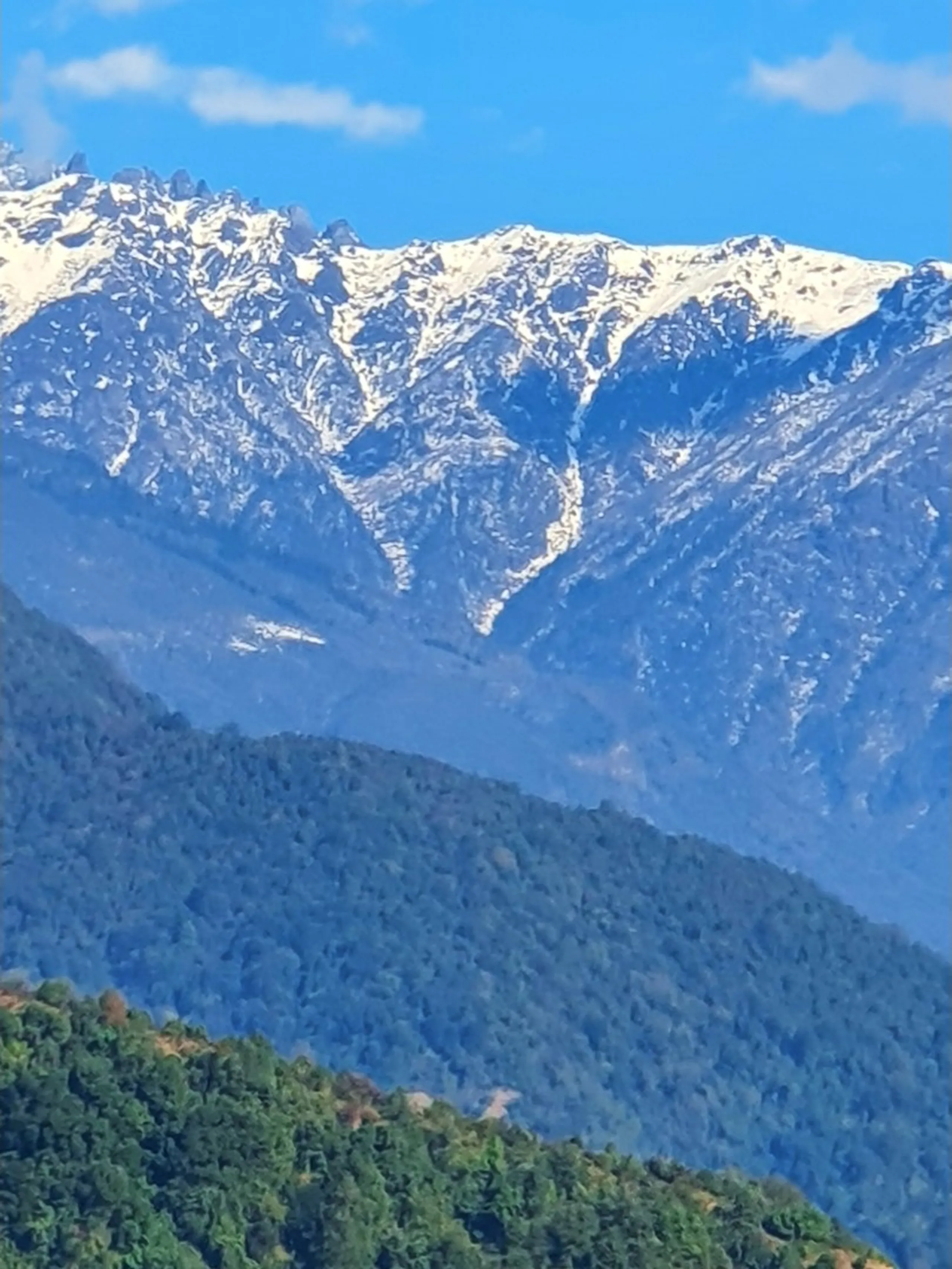 A dramatic telephoto close-up landscape photograph zooming in on a single rugged Himalayan mountain peak covered heavily in fresh white snow and glacial ice, with jagged dark rocky outcrops and serrated ridgelines breaking through the snowpack. The peak fills most of the frame and is shot in sharp focus, revealing intricate details of snow deposition patterns, ice gullies, and bare dark granite cliff faces. Behind and below the peak, successive blue-toned densely forested ridgelines fade into atmospheric haze, and the lower foreground shows a dark green conifer forest ridge. A strip of vivid blue sky and a single white cloud appear at the very top of the frame. This is a close-range telephoto view of one of the Annapurna sub-peaks or Lamjung Himal as seen from the Ghale Gaun viewpoint, Lamjung District, Nepal - one of the finest snow mountain close-up views in the entire Annapurna Conservation Area. Keywords: Annapurna peak close-up Nepal, Lamjung Himal telephoto photograph, snow mountain close-up Himalaya Nepal, Annapurna sub peak Ghale Gaun view, Himalayan glacier Nepal photography, jagged snow peak Nepal Lamjung, Annapurna Conservation Area mountain closeup, Nepal snow mountain detail photography, Himalayan mountain peak Nepal trek, Ghale Gaun viewpoint mountain zoom 2019.