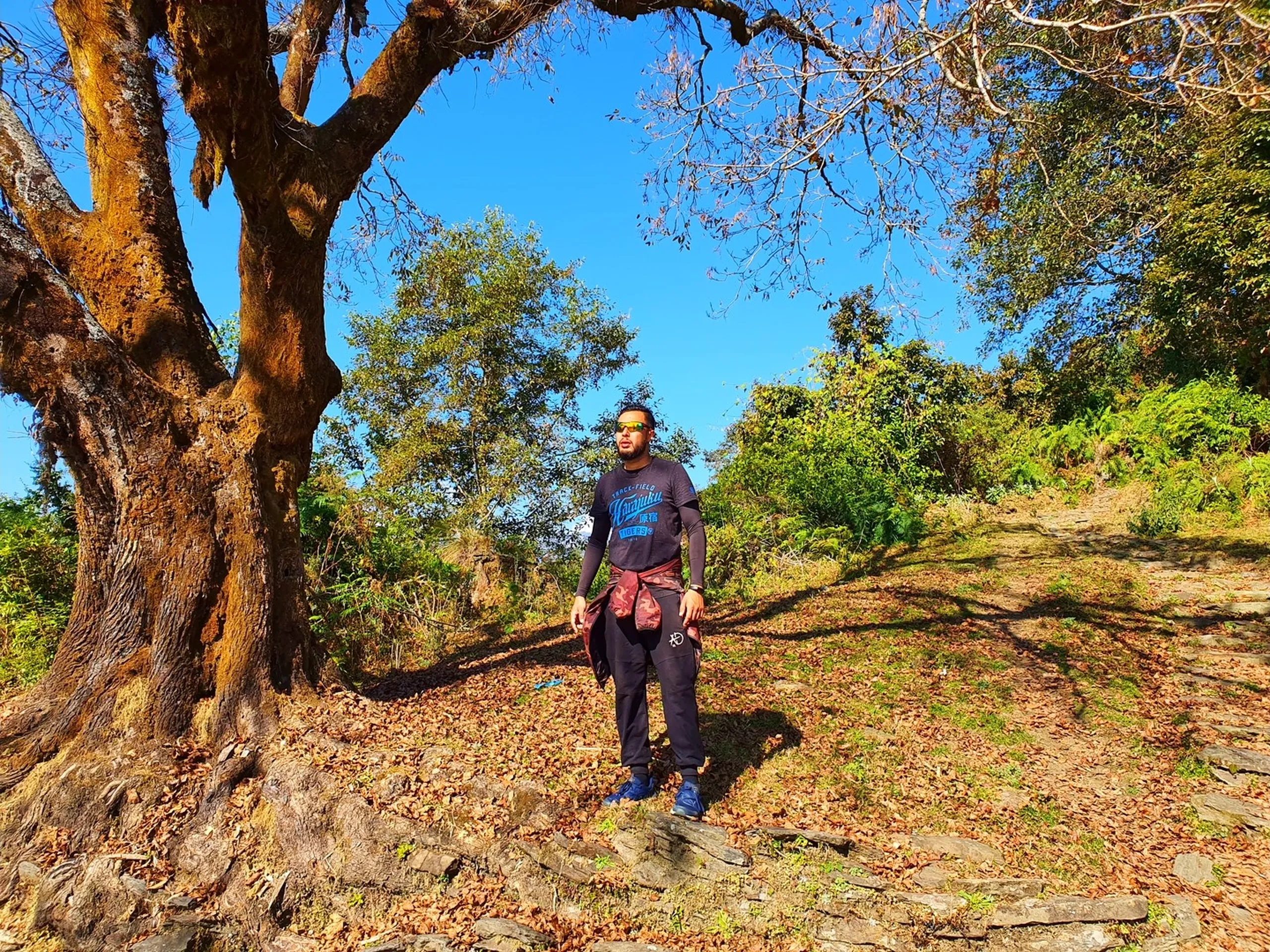 A bearded male trekker with reflective wraparound sunglasses stands on a rustic stone-paved hiking trail in the forests of Ghale Gaun, Lamjung, Nepal, during a clear winter day in December 2019. He wears a dark navy graphic T-shirt (Track-Field/Harajuku print), black trekking trousers, blue shoes, and has a maroon jacket tied around his waist. A trekking watch is visible on his wrist. He stands beside a massive, ancient tree with a deeply textured rust-orange bark covered in lichen, its gnarled trunk dominating the left frame. The forest floor is carpeted in dry fallen autumn leaves in golden-brown hues. Uphill stone steps continue behind him, flanked by mixed green and dry-leafed trees under a vivid blue sky - Ghale Gaun trail Nepal, forest trekking Lamjung, Annapurna Conservation Area hiking trail, Nepal nature walk, Gurung village forest path, autumn trekking Nepal Himalaya, best day hike near Besisahar.