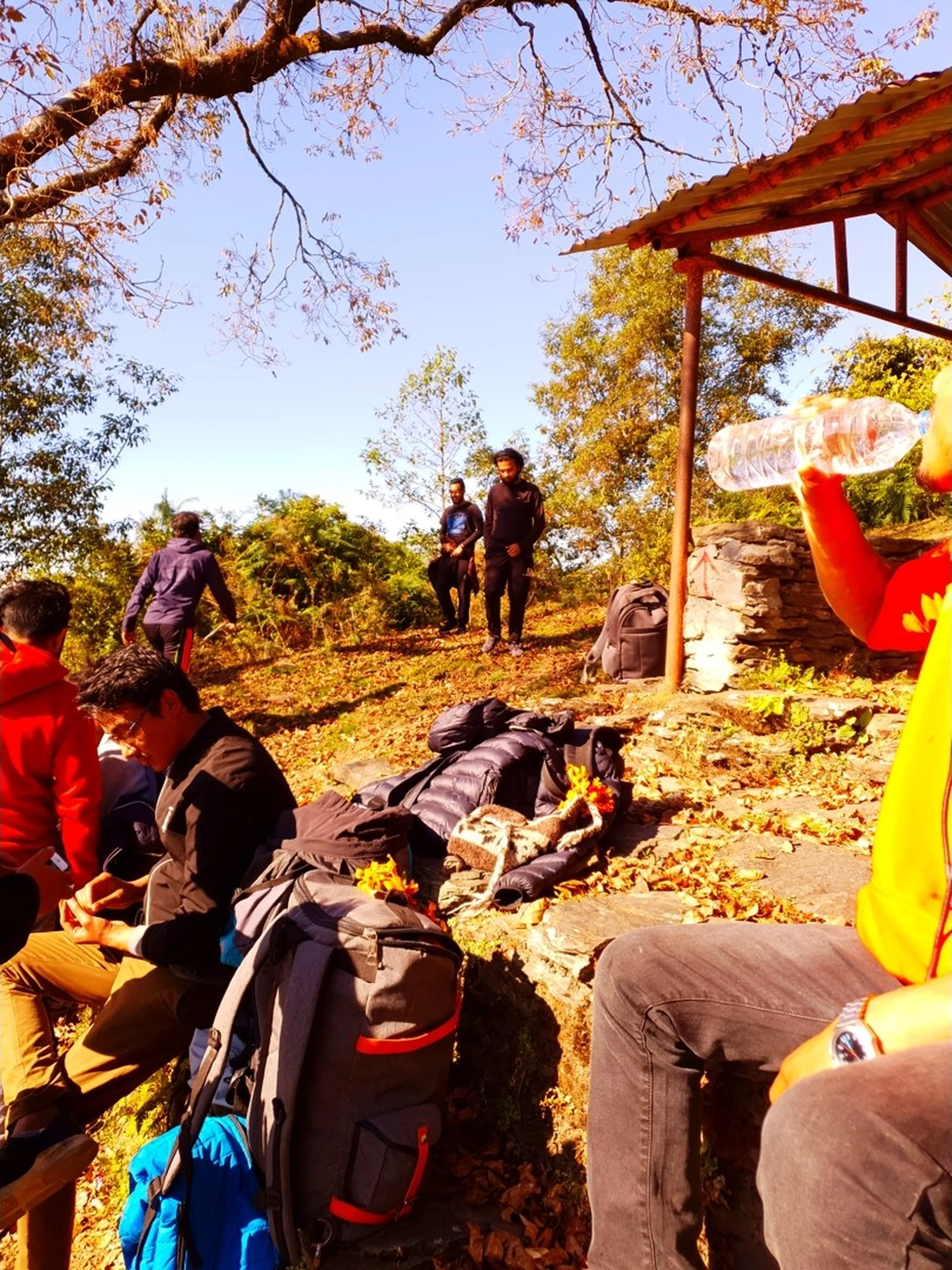 A group of trekkers from a corporate Nepal hiking team take a mid-trail rest break at a rustic stone-walled rest shelter with a corrugated tin roof, perched on a hillside trail in the Annapurna Conservation Area near Ghale Gaun, Lamjung. The group is spread across stone seating ledges, with multiple hiking backpacks - gray, blue, and black - piled on the ground. In the foreground, one trekker in red sits checking his phone while another in gray and black rests beside the packed bags. A trekker in a yellow jacket raises a clear water bottle to drink. Farther back, two trekkers in black and dark blue stand on the elevated trail looking out. Dry brown leaves carpet the ground; bare and semi-green trees rise against the bright winter blue sky. The relaxed, candid energy captures a classic Nepal mountain trail rest stop - corporate trek Nepal, group hiking rest Nepal trail, Annapurna Conservation Area trail break, Lamjung Nepal trekking group, team building trek Nepal, Nepal adventure company outing, Ghale Gaun hiking group 2019.