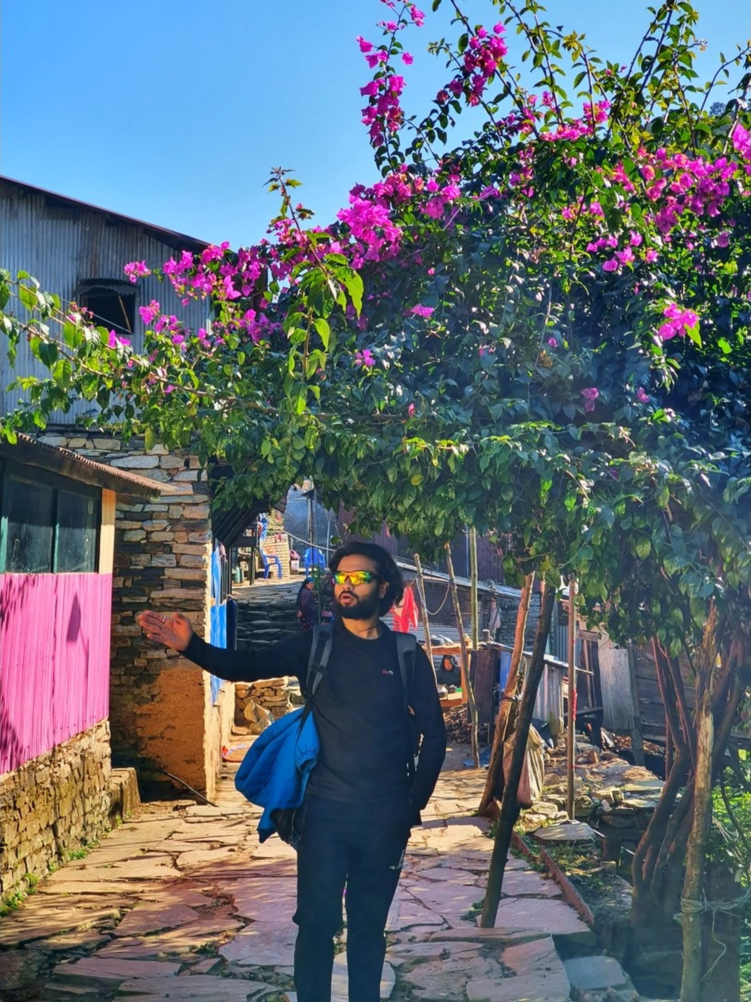 A male trekker with a trimmed beard, wearing all black - black long-sleeve T-shirt, black trekking trousers, and iridescent wraparound sport sunglasses - stands on a stone-paved village lane in Ghale Gaun, Lamjung, Nepal. He has a blue jacket folded over one arm and a gray backpack on his back. He extends one hand upward, gesturing toward or lightly touching the overhanging branches of a spectacular bougainvillea tree in full bloom, absolutely bursting with vivid hot-pink magenta flowers that cascade overhead like a natural floral canopy. Traditional stone-walled village homes line both sides of the narrow flagstone lane, with corrugated tin roofs and a pink-painted building to the left. A deep blue sky peeks through the flower canopy - Nepal village bougainvillea, Ghale Gaun village street, Gurung village Nepal flowers, Annapurna Conservation Area trekking village, Nepal mountain village lane, blooming bougainvillea Nepal winter, Lamjung district trekking, colorful Nepal village trek.