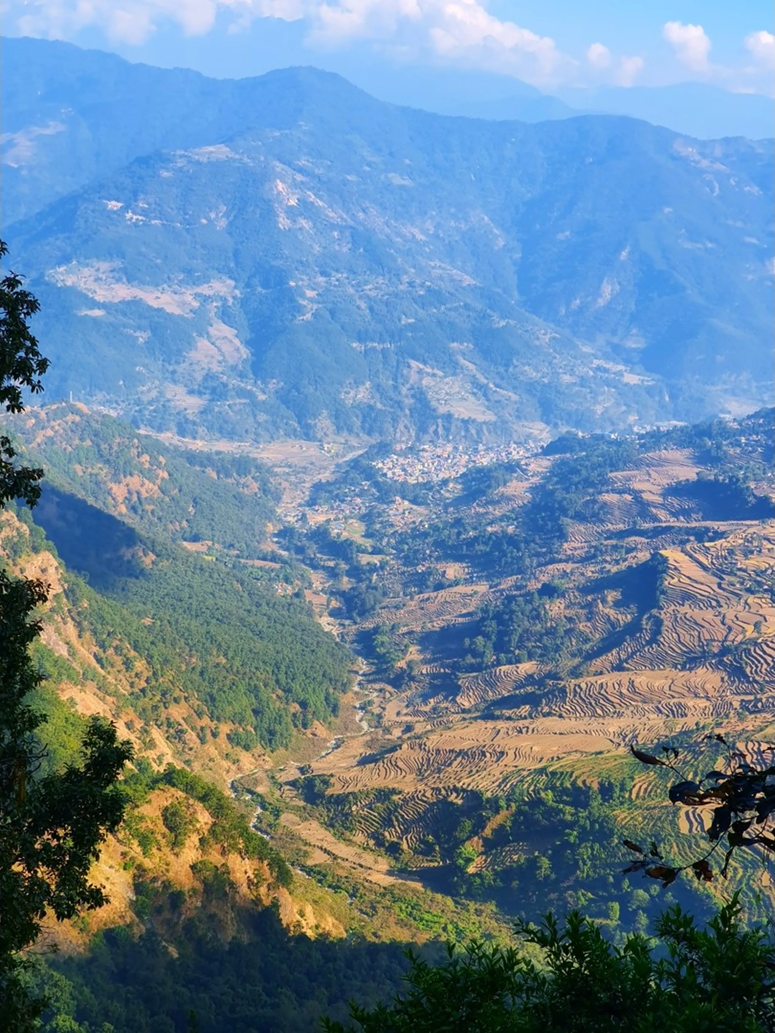 A dramatic and sweeping aerial-perspective landscape photograph taken from a high ridge trail above Ghale Gaun, Lamjung, Nepal, looking down into a vast Himalayan mid-hill valley. The entire valley floor and opposing hillsides are covered in intricately carved, stepped golden-brown terraced farmlands - hundreds of rice paddy terraces cascading in organic curved lines down the valley slopes, harvested and dry in December winter. A small dense cluster of buildings forming what appears to be Besisahar town or a mid-hill village sits in the valley floor center-left, surrounded by forested ridges. Multiple layers of parallel mountain ridges recede into the hazy blue distance, their flanks a mosaic of forest patches, exposed hillsides, and dry terraces. The foreground features green forest canopy at the hilltop edge - Besisahar valley Nepal aerial view, Lamjung terraced rice fields Nepal, Annapurna foothills valley panorama, Nepal terraced farmland photography, Ghale Gaun viewpoint Lamjung, high altitude viewpoint Nepal, Nepal mountain valley landscape, Himalayan terraced fields winter Nepal, best trekking viewpoints Nepal.