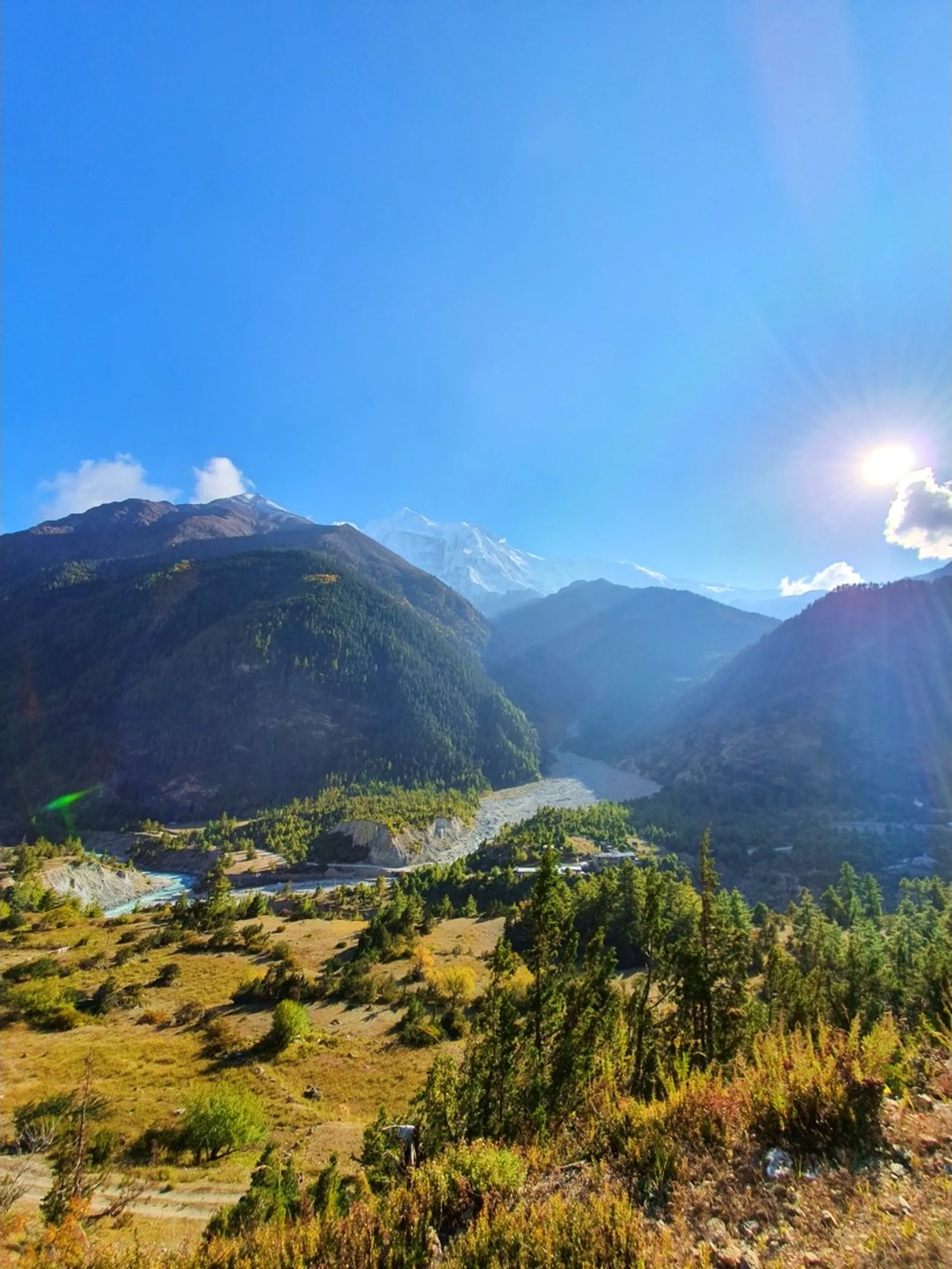 Panoramic view of Annapurna Circuit trek Nepal with turquoise glacial river winding through a high-altitude Himalayan valley, dense pine forests on steep mountain slopes, snow-capped Annapurna peaks rising above misty ridgelines under a brilliant blue sky with sun flare, golden autumn shrubs in the foreground - Nepal trekking, Manang valley landscape, best Himalayan trek views