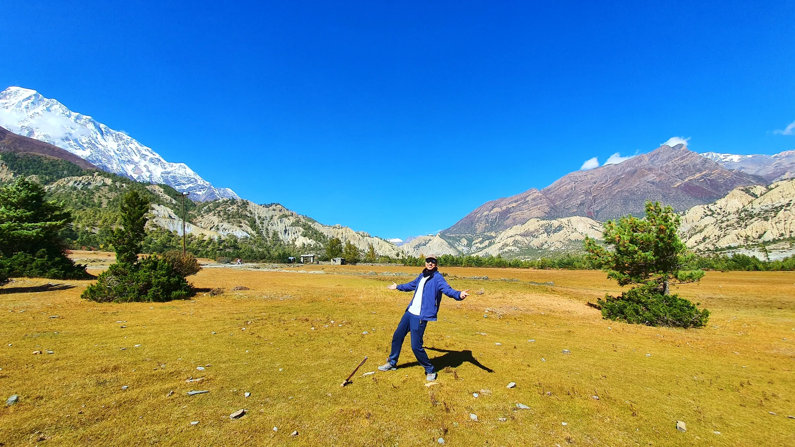 Joyful female trekker in a navy blue tracksuit and dark cap with sunglasses standing arms wide open in a carefree pose on a vast golden-brown alpine meadow in Manang Nepal, Annapurna II snowfield to the upper left, arid ochre Himalayan rock formations to the right, and two small pine trees framing her on either side under a brilliant cloudless blue sky - Manang Nepal open meadow, Annapurna Circuit freedom moment, solo female trekker Nepal