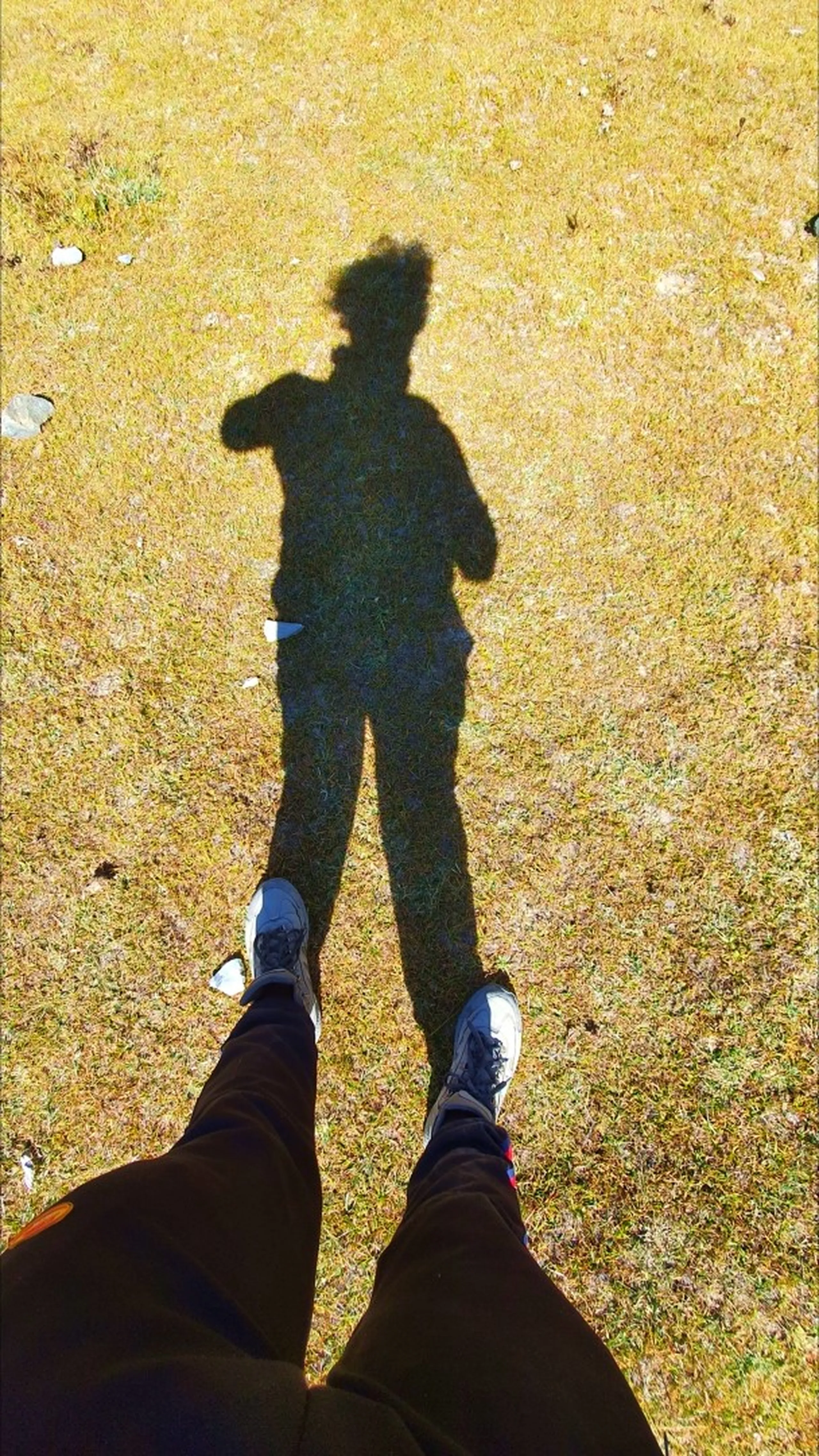 Creative low-angle shadow selfie shot looking straight down at one's own feet wearing white sneakers on dry golden-green alpine grass in Manang Nepal; a long dramatic shadow stretches away across the lawn showing the silhouette of a person holding a phone - minimalist Himalayan travel photography, Manang Nepal shadow art, Annapurna Circuit creative travel photo