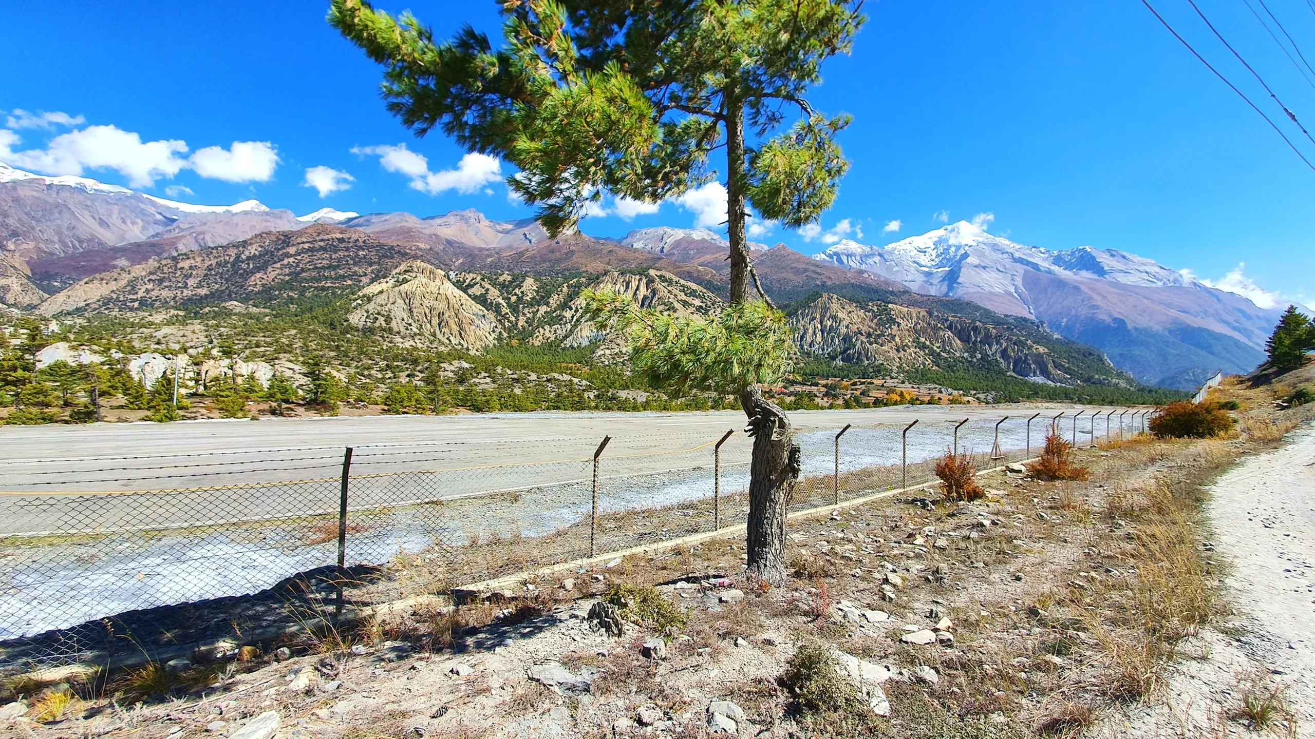 Scenic landscape photo of Humde Airport in Manang, Nepal - a narrow abandoned high-altitude airstrip running parallel to the valley floor beside a wire fence, a lone pine tree growing at its edge, surrounded by eroded sandy ochre cliffs, pine-dotted hillsides, and a panorama of snow-capped Annapurna and Gangapurna peaks under a vivid blue sky with white clouds - Humde Airport Manang Nepal, highest airport Nepal, Annapurna Circuit Manang airstrip