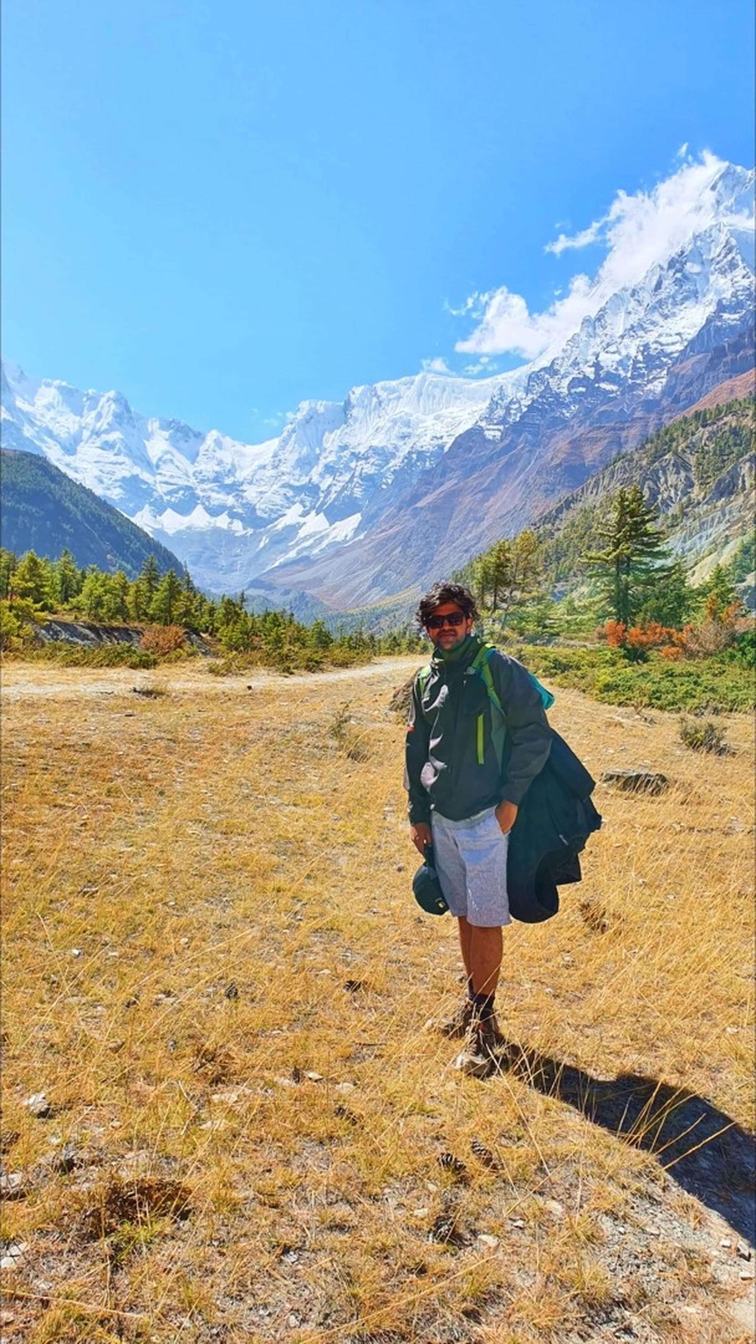 Male trekker in grey shorts, a dark green jacket and burgundy neck gaiter standing casually on a dry golden alpine meadow near Manang Nepal, holding extra clothing in one hand, sunglasses on, looking back at the camera; multiple snow-capped Himalayan peaks including Gangapurna and Annapurna III rise dramatically behind him in an arc filling the skyline, autumn-coloured shrubs and scattered pines completing the scene - Manang Nepal trek light gear, Annapurna III Gangapurna view, Annapurna Circuit grassland