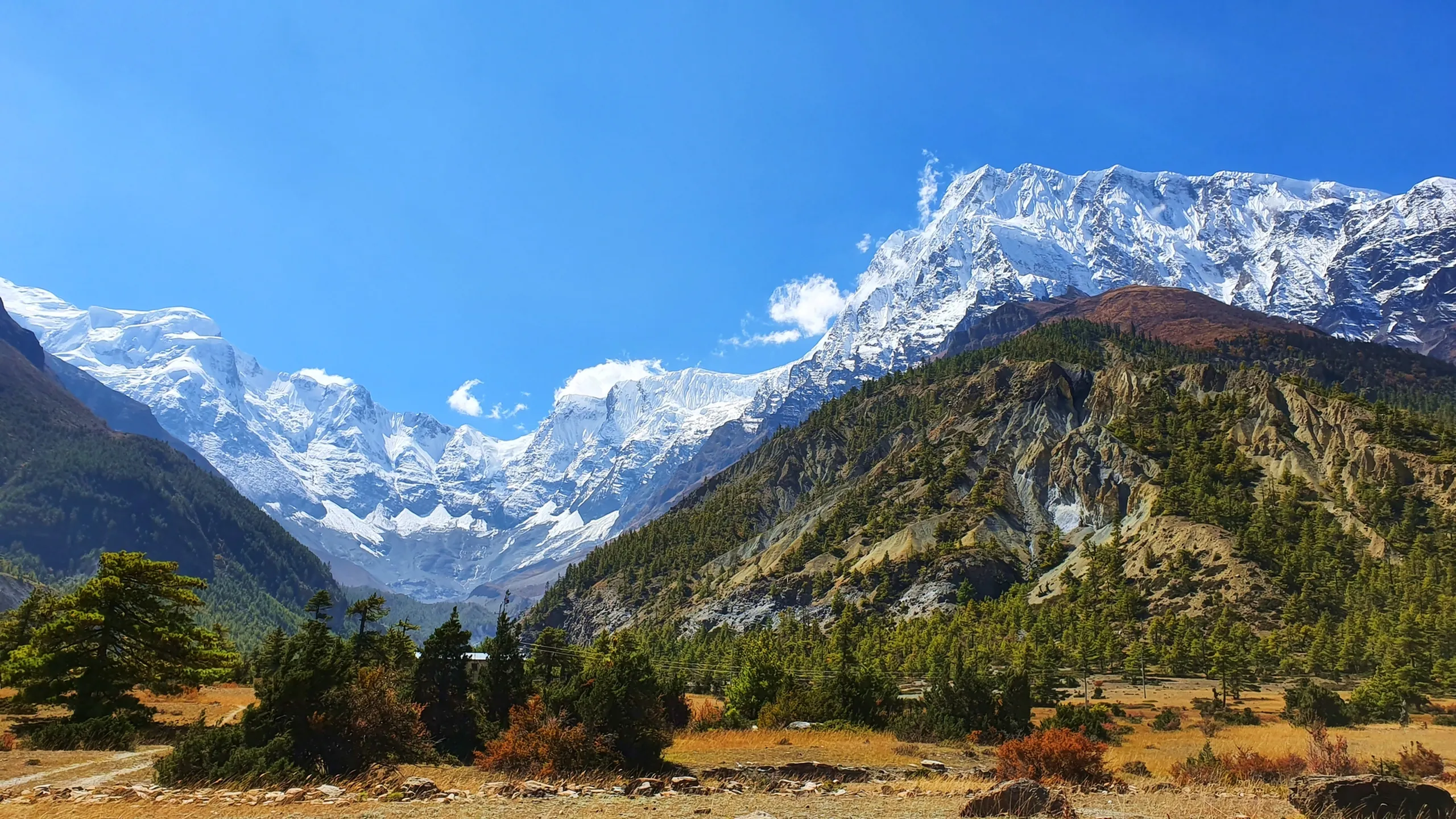 The moment Manang appeared, every trekking struggle felt worthwhile. Snow-capped Annapurna peaks, colourful prayer flags, and fresh mountain air created the perfect Himalayan escape.

Even our cameras worked overtime trying to capture one of the most beautiful trekking destinations in Nepal.
