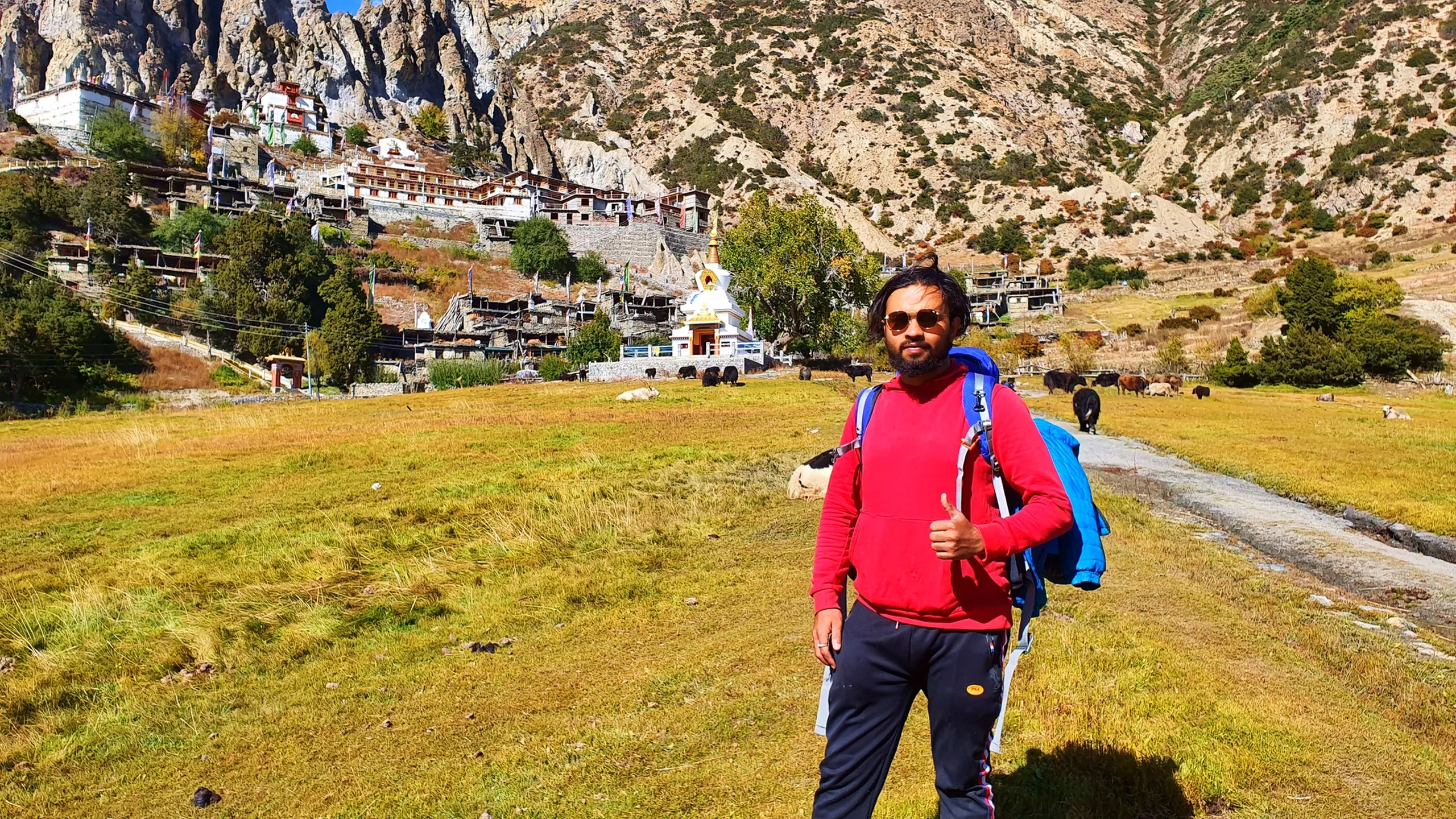 Male trekker in a red hoodie and sunglasses giving a thumbs-up gesture while standing on a dusty path in front of the ancient Braga village in Manang Nepal, a striking cluster of traditional whitewashed stone buildings stacked vertically up eroded rock cliff faces, a white stupa at the base, yaks grazing on the golden meadow, and bare rocky Himalayan ridges above - Braga village Nepal ancient monastery, 800 year old village Manang, Annapurna Circuit cultural landmark