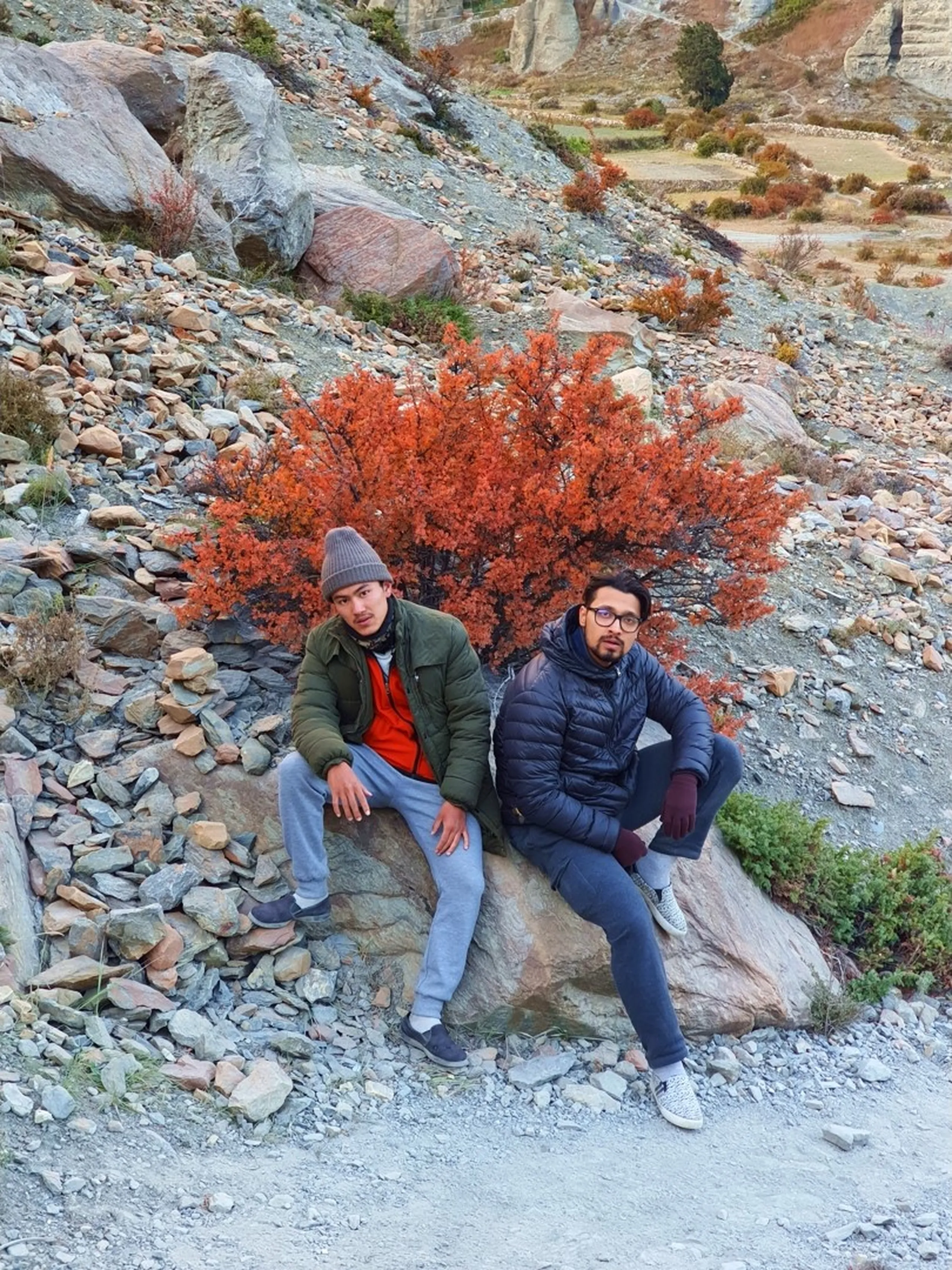 Two male trekkers looking visibly tired and windswept, sitting together on a large boulder on a rocky scree slope in Manang Nepal, one in an olive green puffer jacket and grey joggers, the other in a dark navy puffer and jeans with glasses, a vivid crimson-red autumn berry bush blazing between them, eroded ochre Himalayan cliffs and terraced fields visible in the background - exhausted trekkers Annapurna Circuit Nepal, trek fatigue Manang, autumn red bush Himalayan trail
