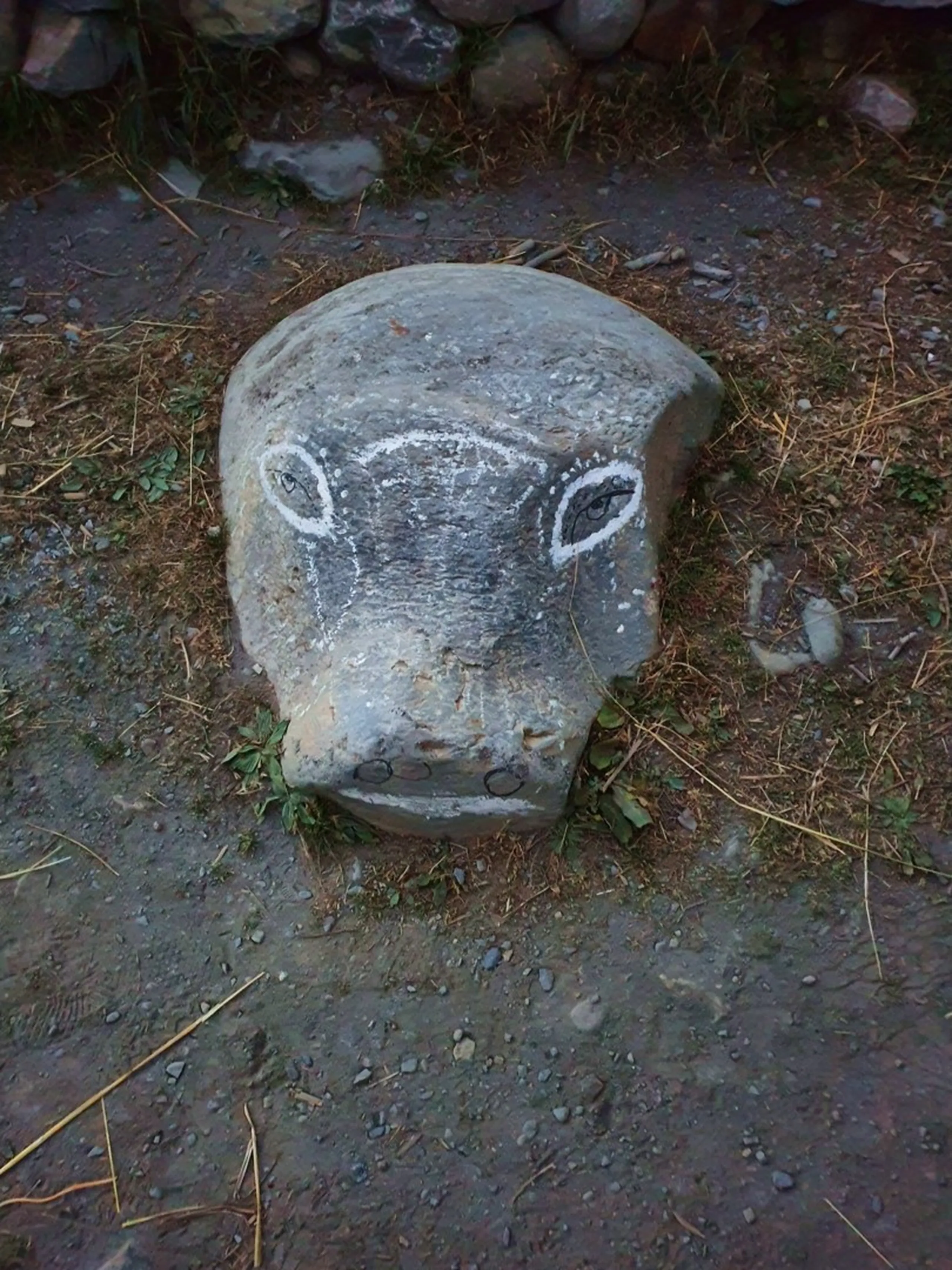 Close-up of a large smooth river stone painted to resemble a yak head, with white chalk-outlined eyes and nostrils drawn on its naturally rounded grey surface, sitting on a sandy gravel path beside a dry stone wall and sparse grass in Manang Nepal - yak stone art Manang Nepal, Himalayan folk art Nepal, Annapurna Circuit quirky cultural find