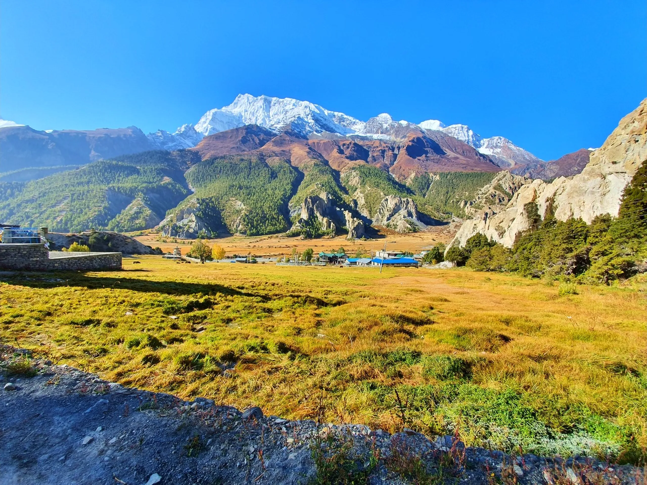 Sweeping bird's-eye landscape view over Manang village and Braga village on the Annapurna Circuit Nepal, two ancient settlements of grey stone houses spread across a terraced valley floor, the Marsyangdi river cutting through autumnal shrubland in the foreground, a vast semi-arid Himalayan valley extending to eroded spires and Annapurna snowfields on the left and Gangapurna peaks on the right under intense blue sky - Manang Braga village aerial view Nepal, Annapurna Circuit village landscape, best view Manang Nepal