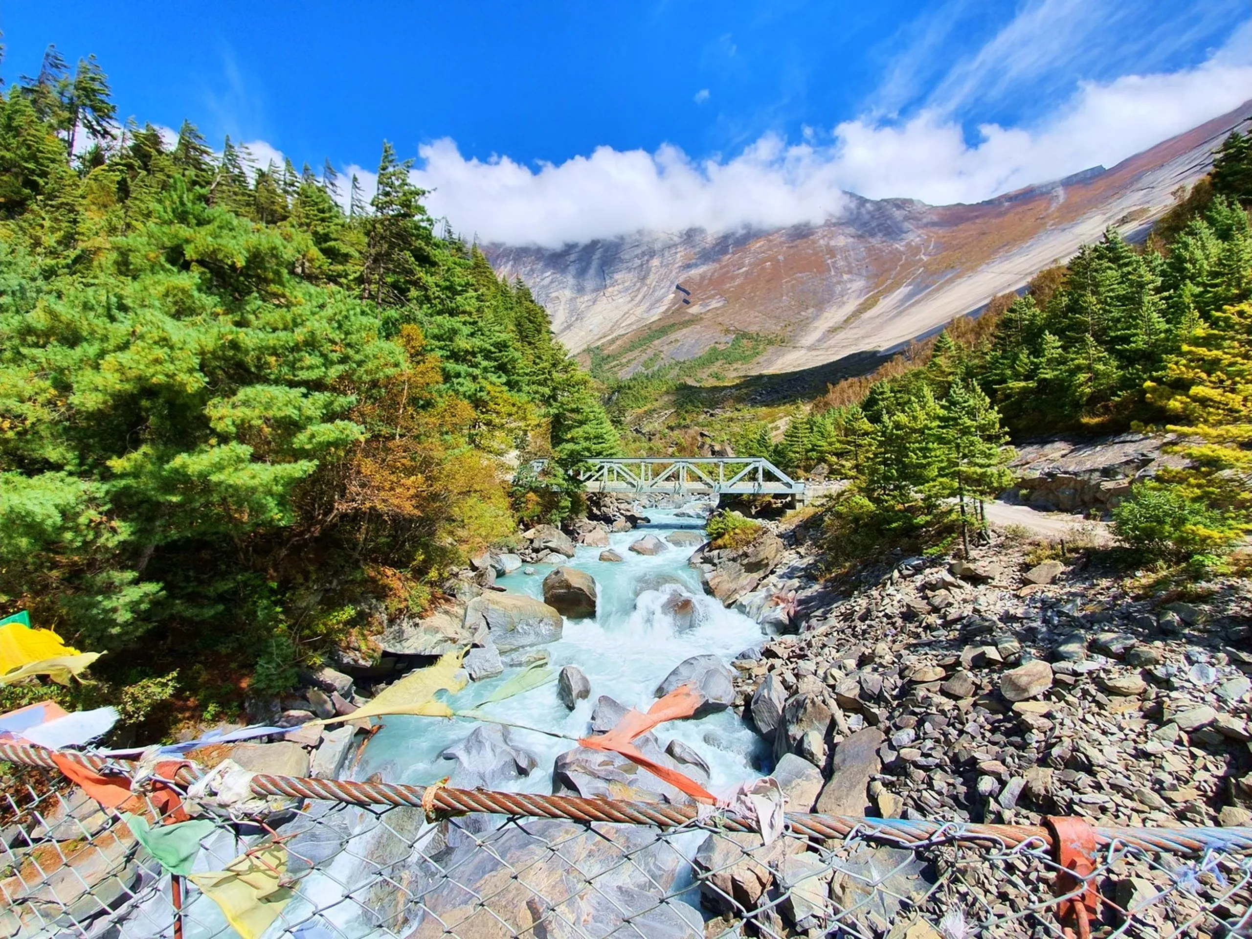 A sweeping landscape photograph taken from atop a prayer flag suspension bridge over the Marsyangdi River in Manang, Nepal - the rusty steel cable and wire mesh railing of the bridge dominates the foreground, adorned with colorful faded Tibetan prayer flags in orange, green, red, and white - below, a vivid turquoise glacial river rushes over large grey boulders between two forested banks - a white steel truss bridge visible further upstream - a broad open Himalayan valley opens beyond, flanked by rust-brown and grey cliff faces with pine forest and autumn foliage - white clouds curl around the upper ridges under a deep blue sky - a dramatic and beautiful Nepal Himalayan river valley landscape on the Annapurna Circuit trekking route towards Manang and Ice Lake