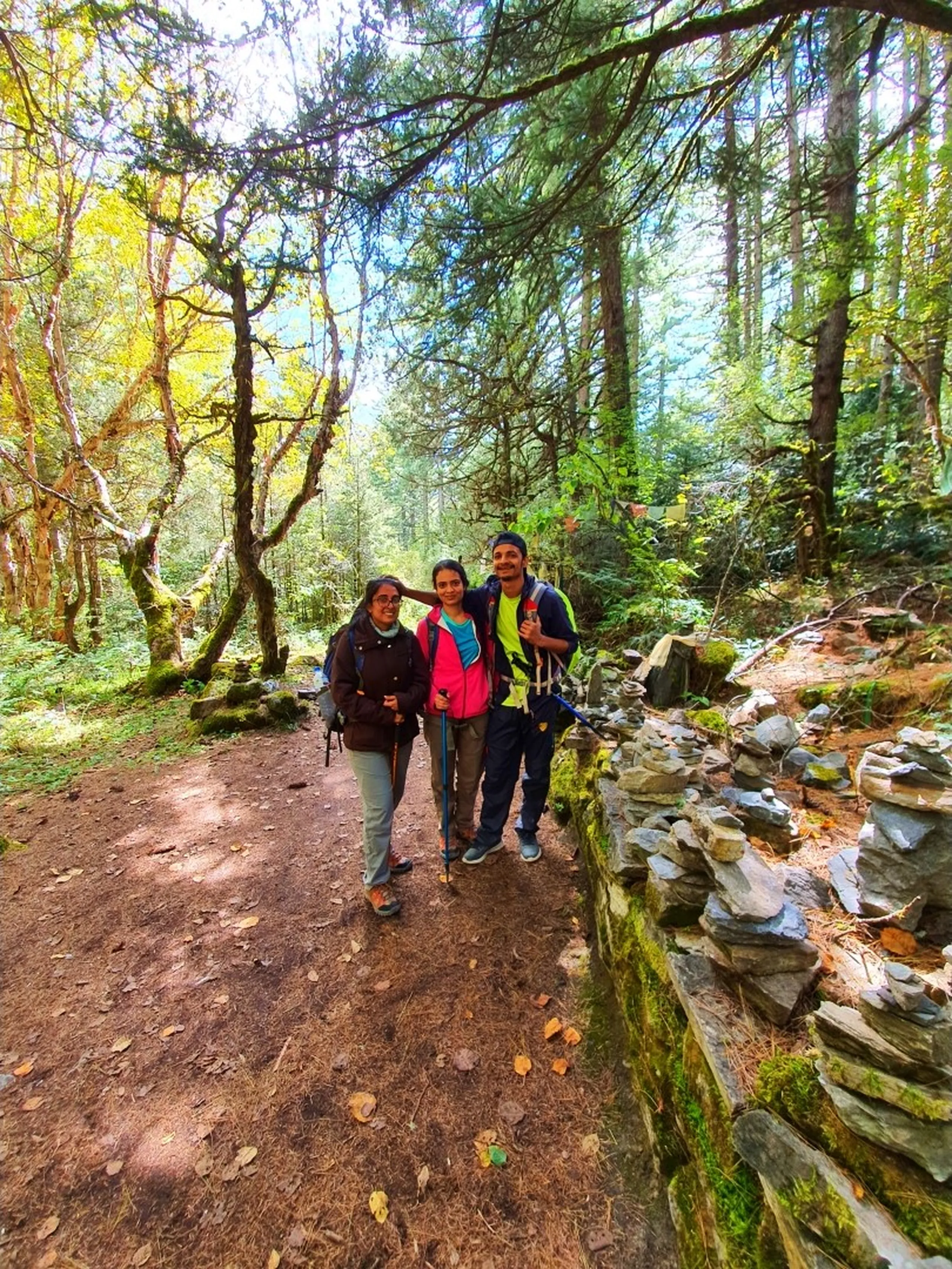 Three young Nepali trekkers pause together on a shaded forest trail in Manang, Nepal - a young woman on the left wearing glasses, a dark jacket, and light grey trousers - a young woman in the center in a bright pink fleece jacket and teal top smiling warmly - a young man on the right in a neon green jacket and dark wool hat giving a thumbs-up - a mossy stone wall runs along the right side of the trail, several small cairn stone stacks balanced on it - tall pine and birch trees with dappled sunlight filtering through bright green and gold leaves fill the background - a warm and beautiful Nepal high-altitude forest trekking trail friendship portrait on the Annapurna Circuit path to Ice Lake, Manang