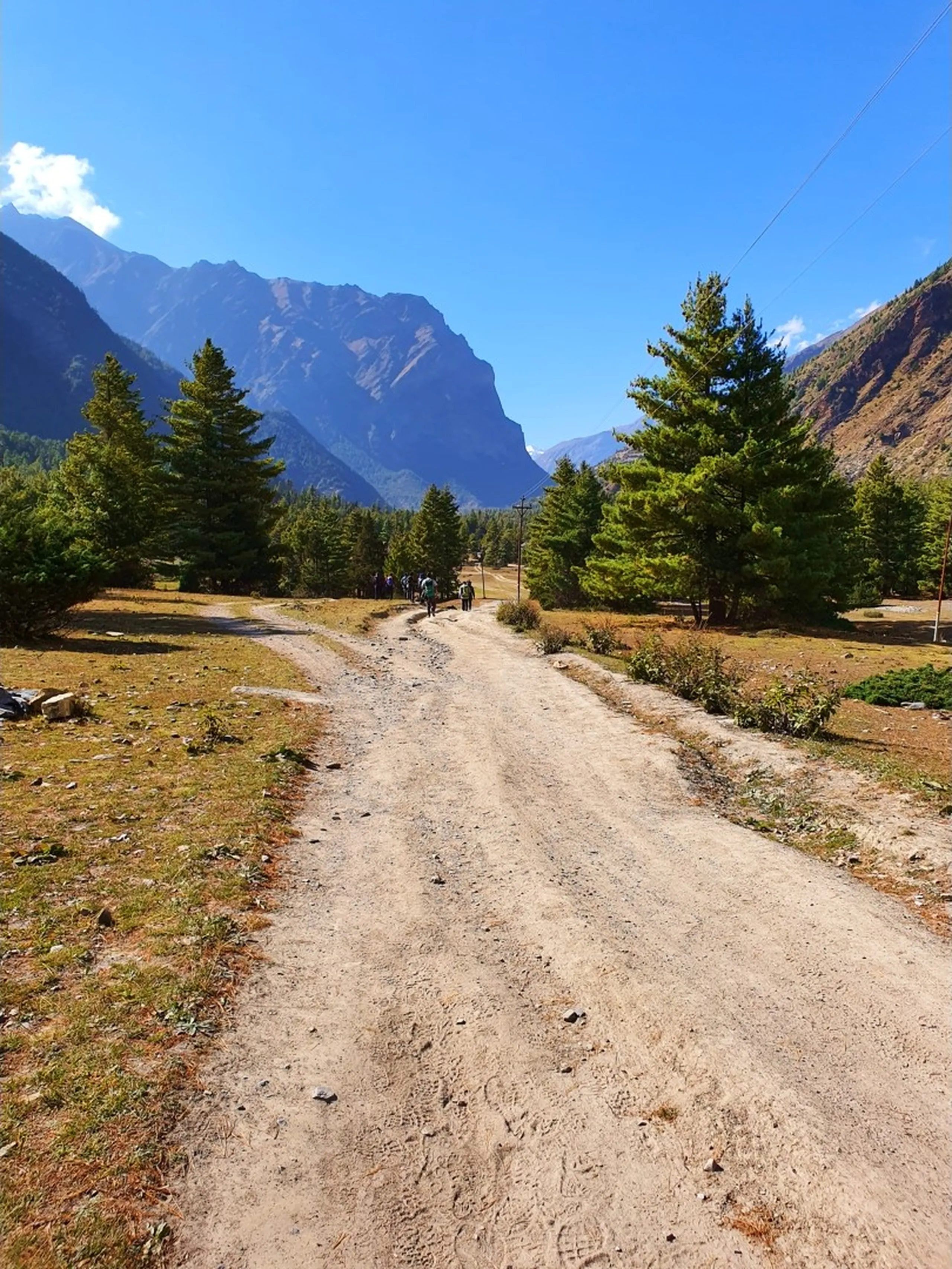 A wide-angle landscape trekking trail photograph in the high-altitude Manang valley on the Annapurna Circuit, Nepal - a wide sandy dirt trail stretches straight ahead into the distance, flanked on either side by dry golden grassland and scattered pine trees - two small distant trekker figures visible on the trail - dramatic angular rocky Himalayan peaks in rust, brown, and grey rise on both sides of the valley under a deep blue sky with a few wispy clouds - a clean, expansive, and luminous Nepal alpine trekking landscape on the trail between Manang village and Ice Lake, perfect for Nepal trekking trail guide and Annapurna Conservation Area landscape photography blog content