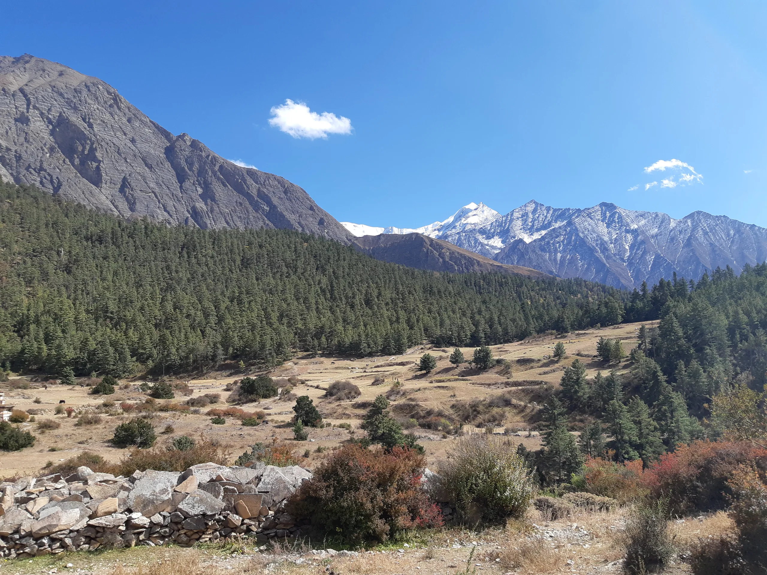 Trekking route to Phoksundo Lake Nepal