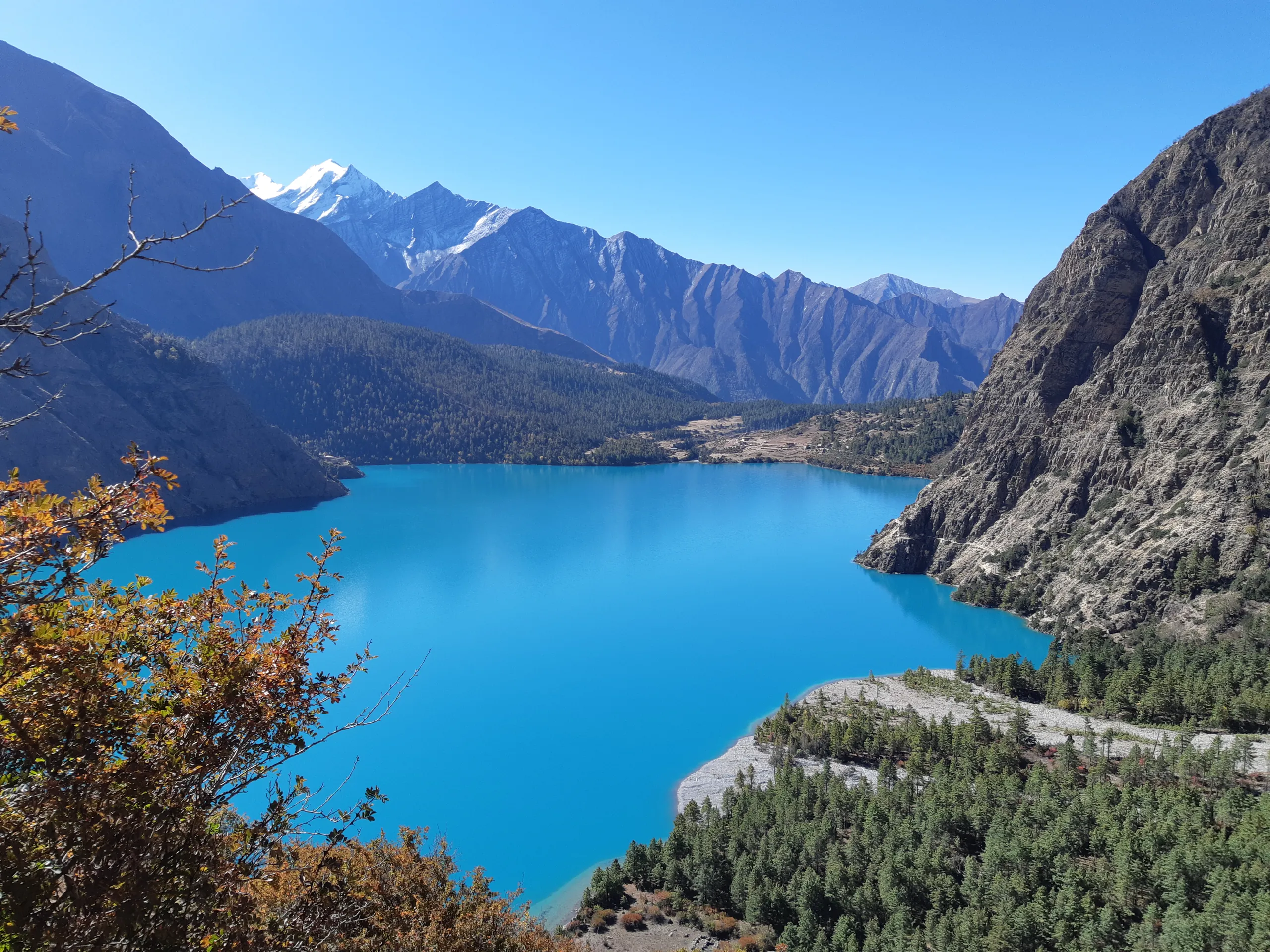 Yak caravan Himalayan pass Dolpa Nepal