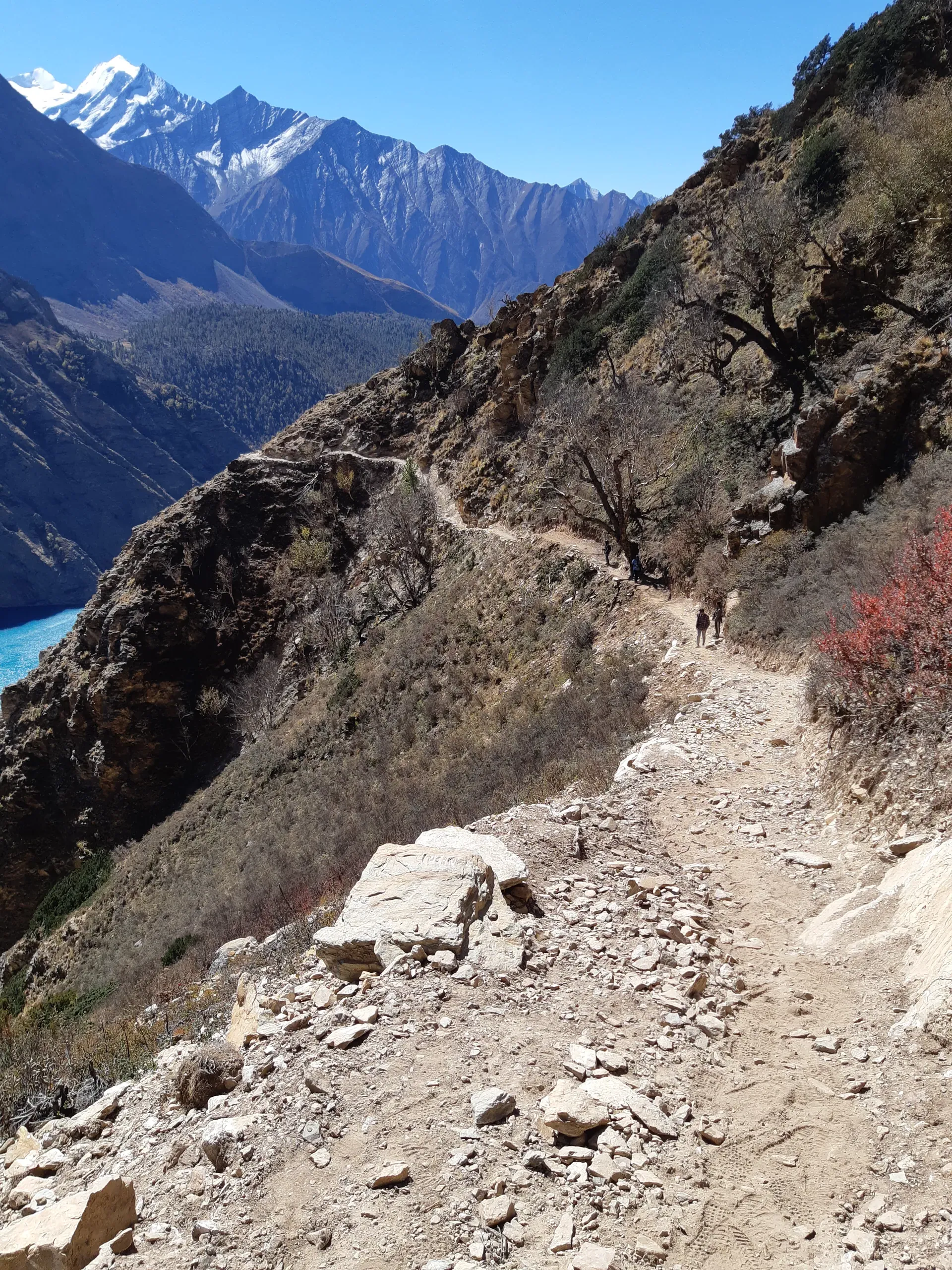 Suspension bridge glacial river Dolpa trek