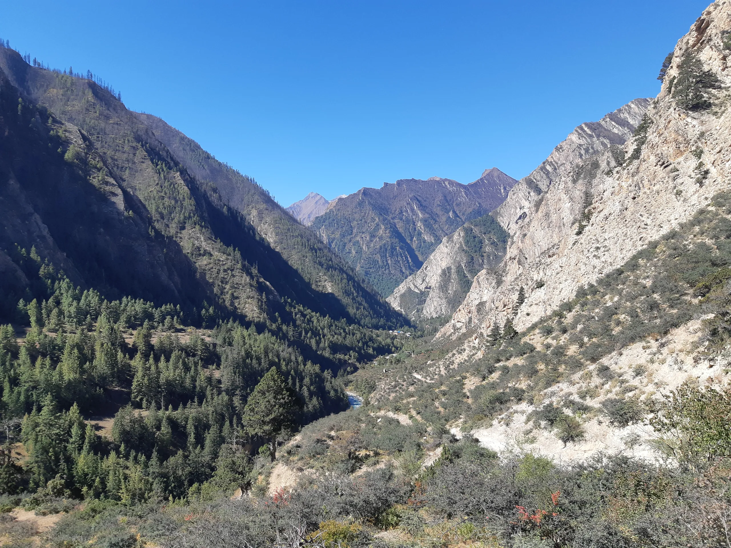 Ringmo village Dolpa Nepal traditional houses