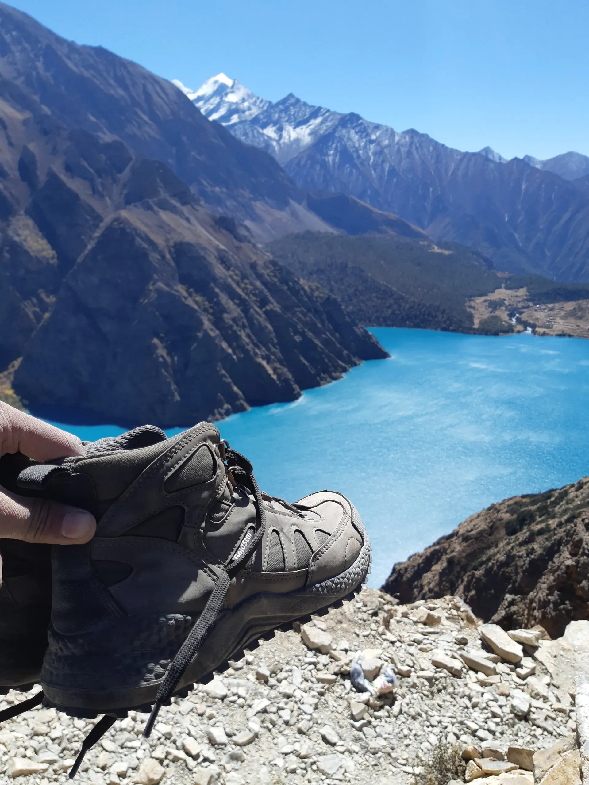 Mules carrying supplies roadless Dolpa region